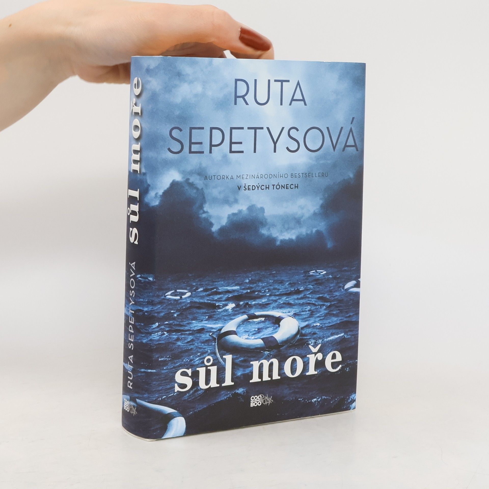 Ruta Sepetys Sůl moře