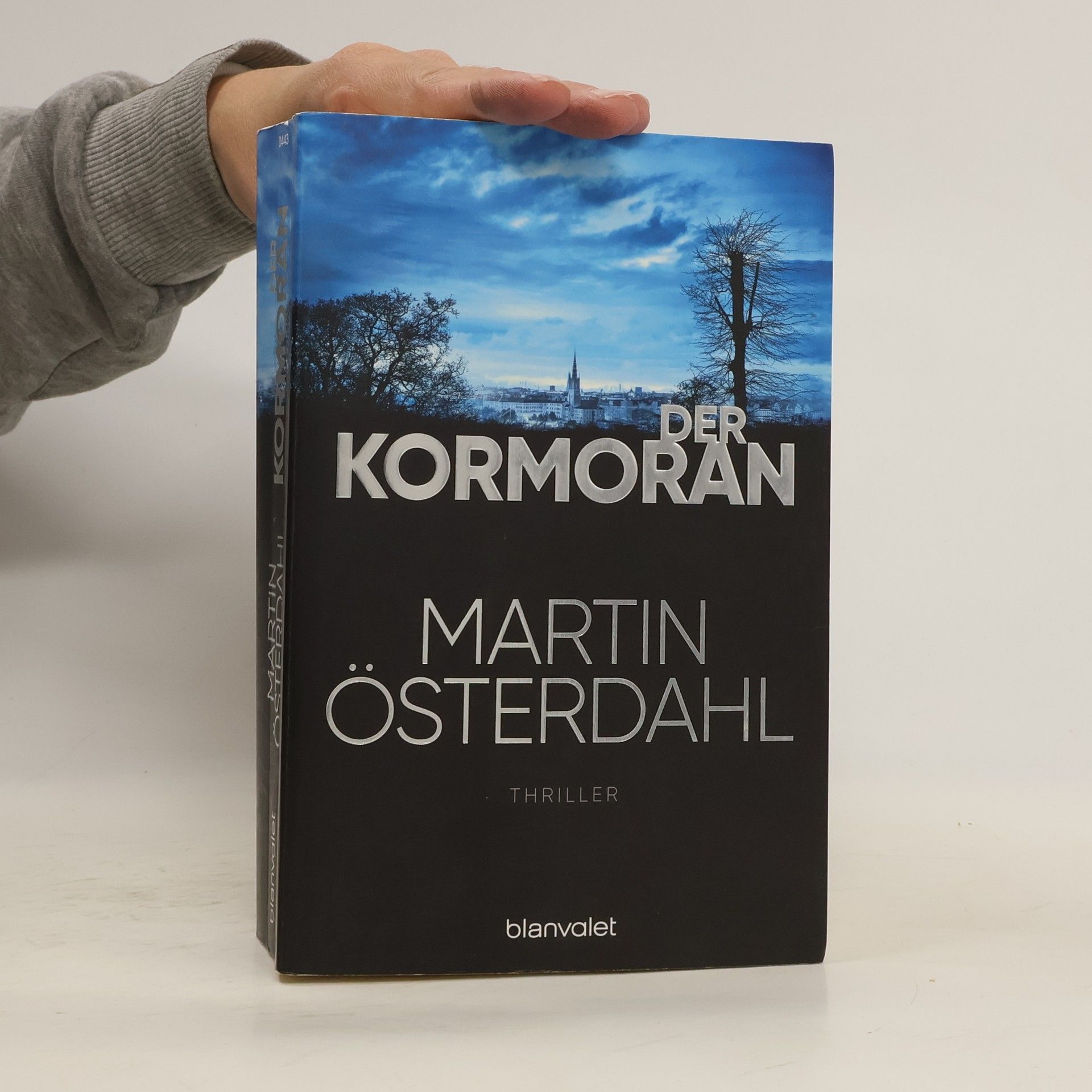 Martin Österdahl Der Kormoran
