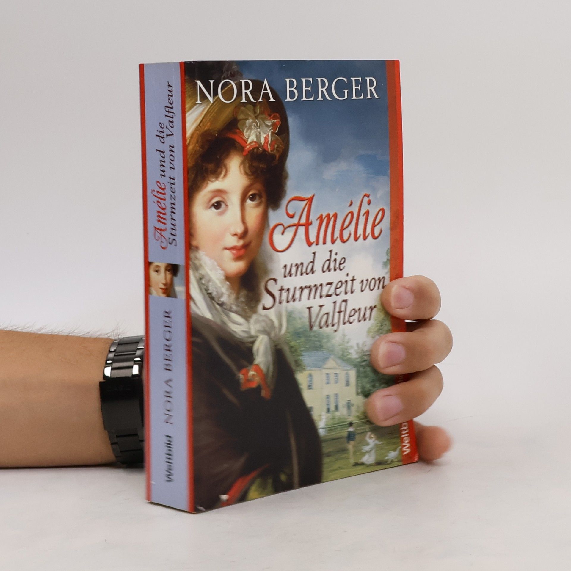Nora Berger Amélie und die Sturmzeit von Valfleur