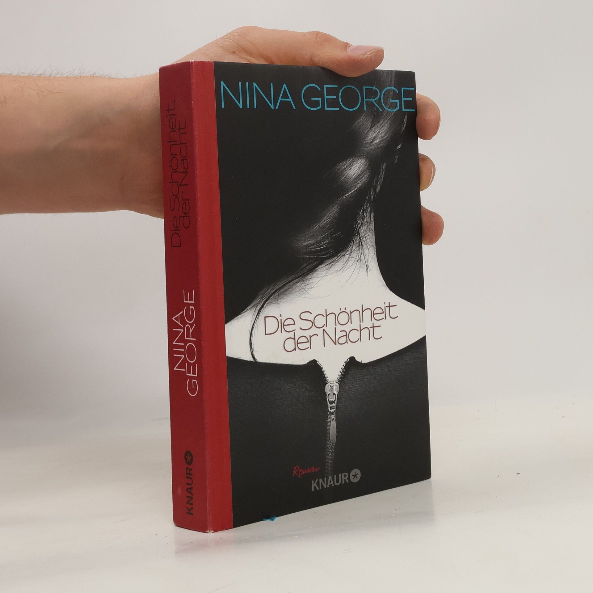 Nina George Die Schönheit der Nacht