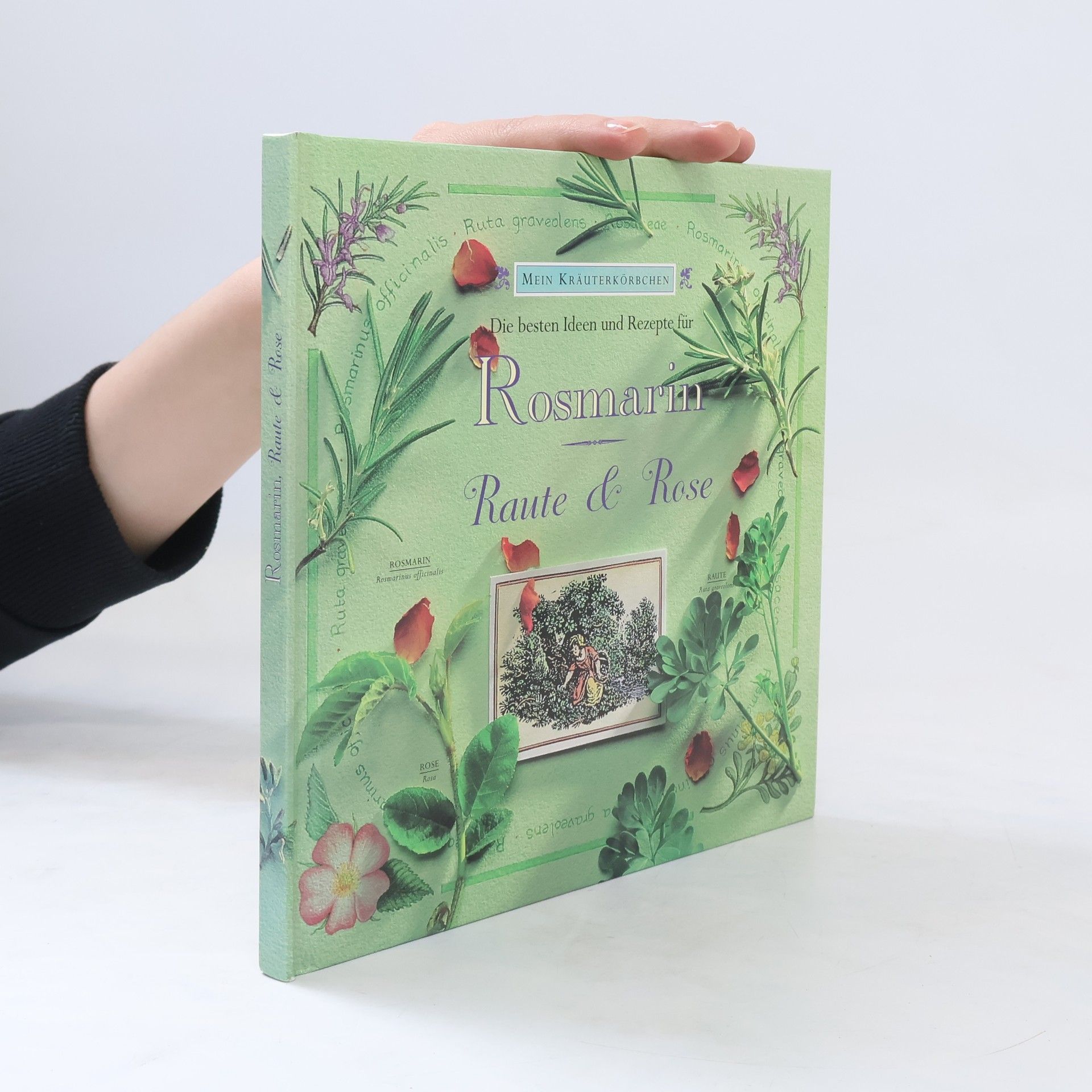 Hazel Evans Die schönsten Ideen und Rezepte für Rosmarin, Raute & Rose