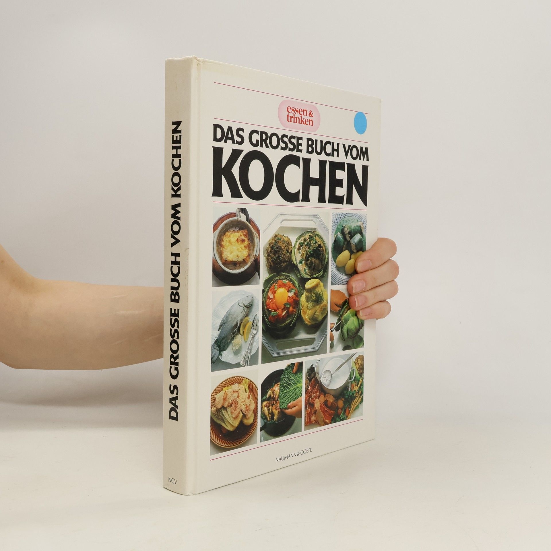 Kolektív autorov Das Grosse Buch vom Kochen