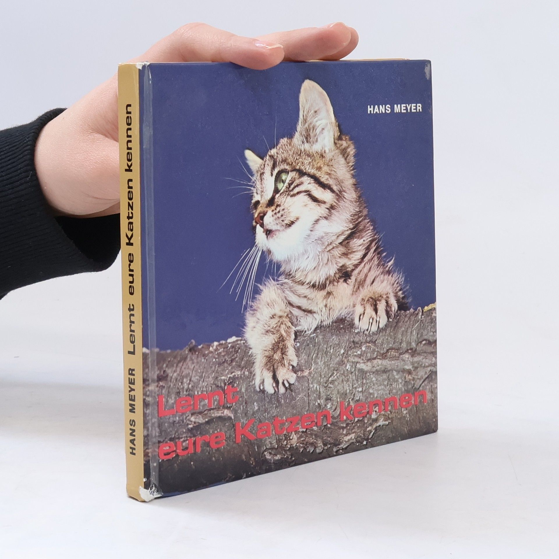 Hans Meyer Learnt eure Katzen kennen