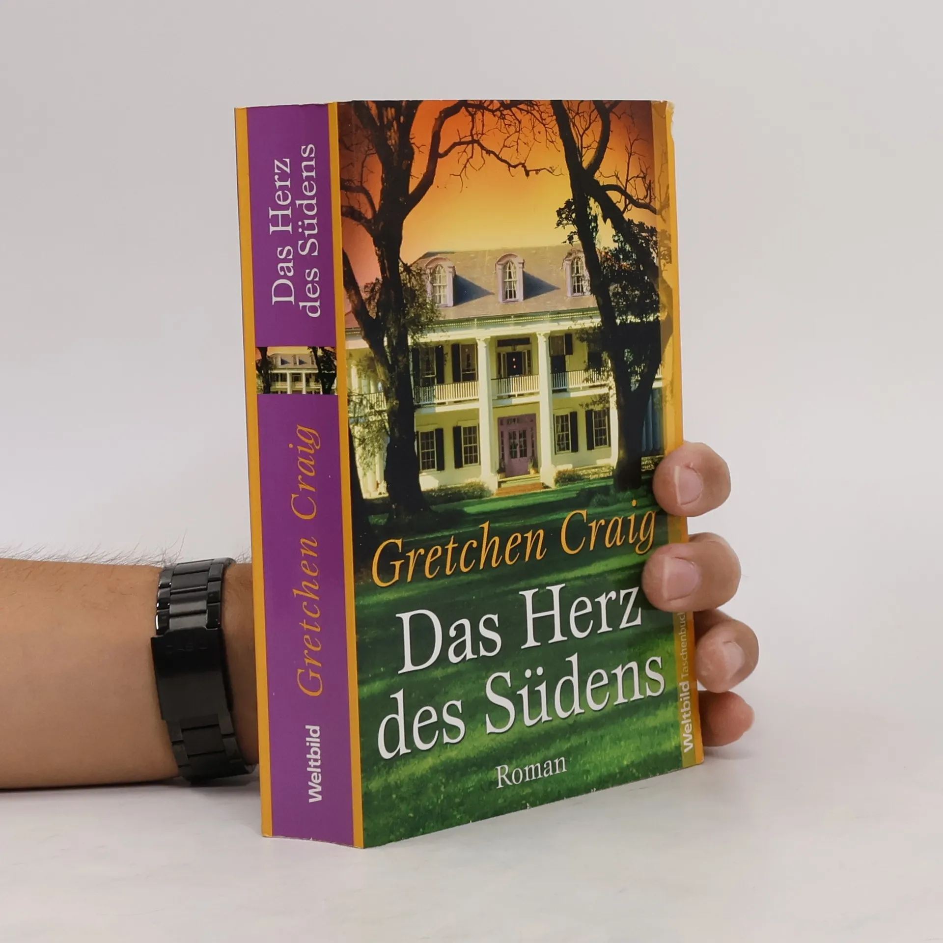 Das Herz des Südens | Buch | Gretchen Craig