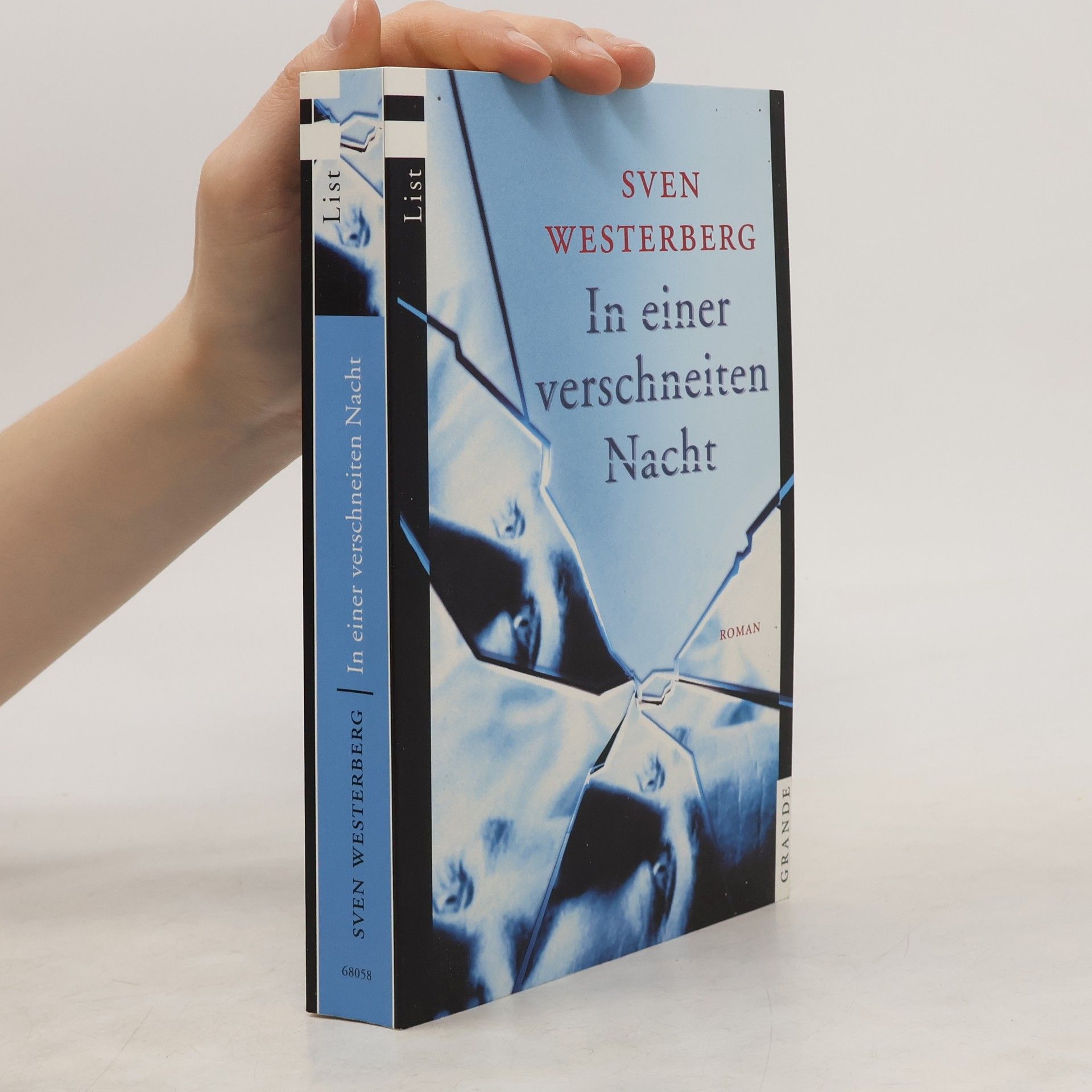 Sven Westerberg In einer verschneiten Nacht