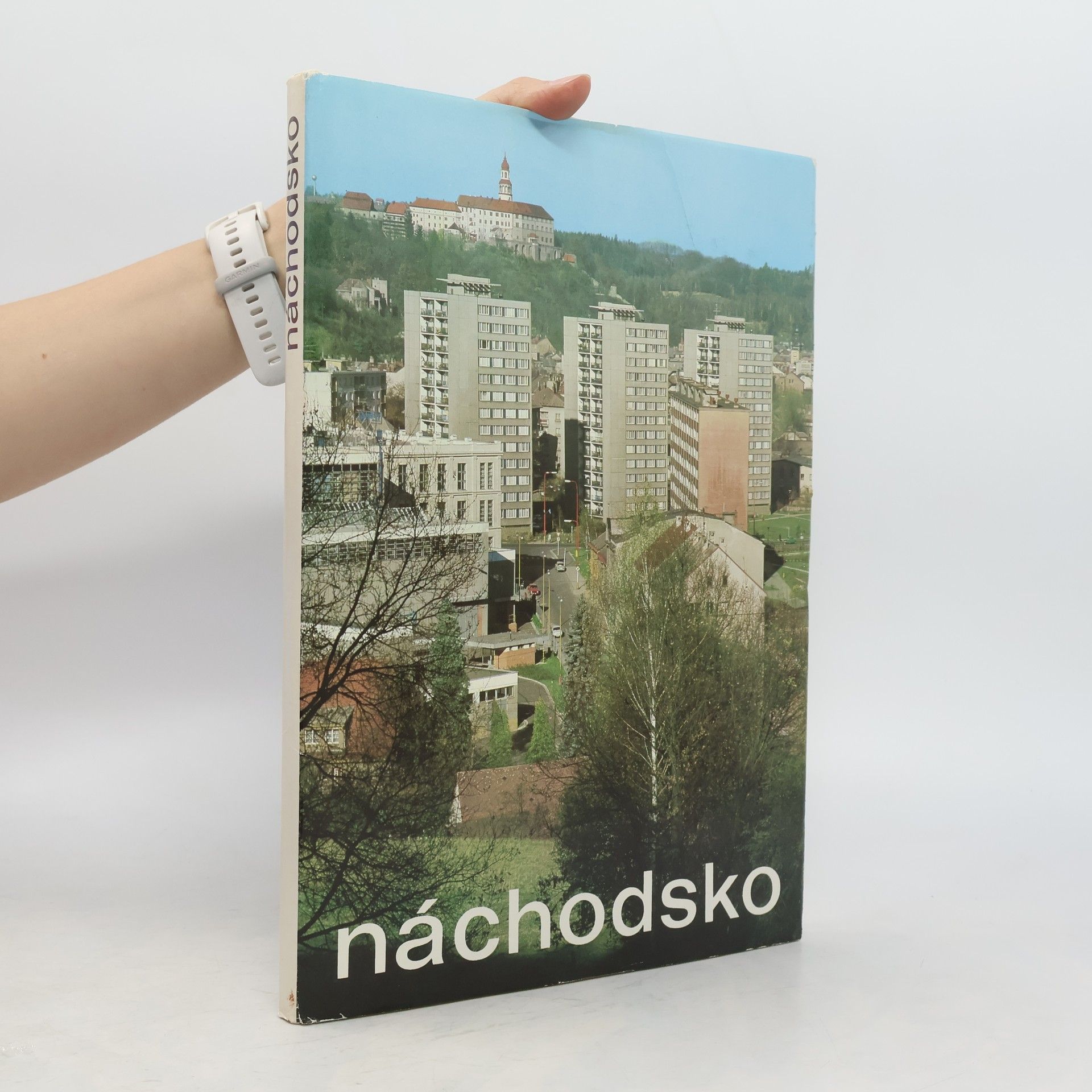 Ludvík Mühlstein Náchodsko