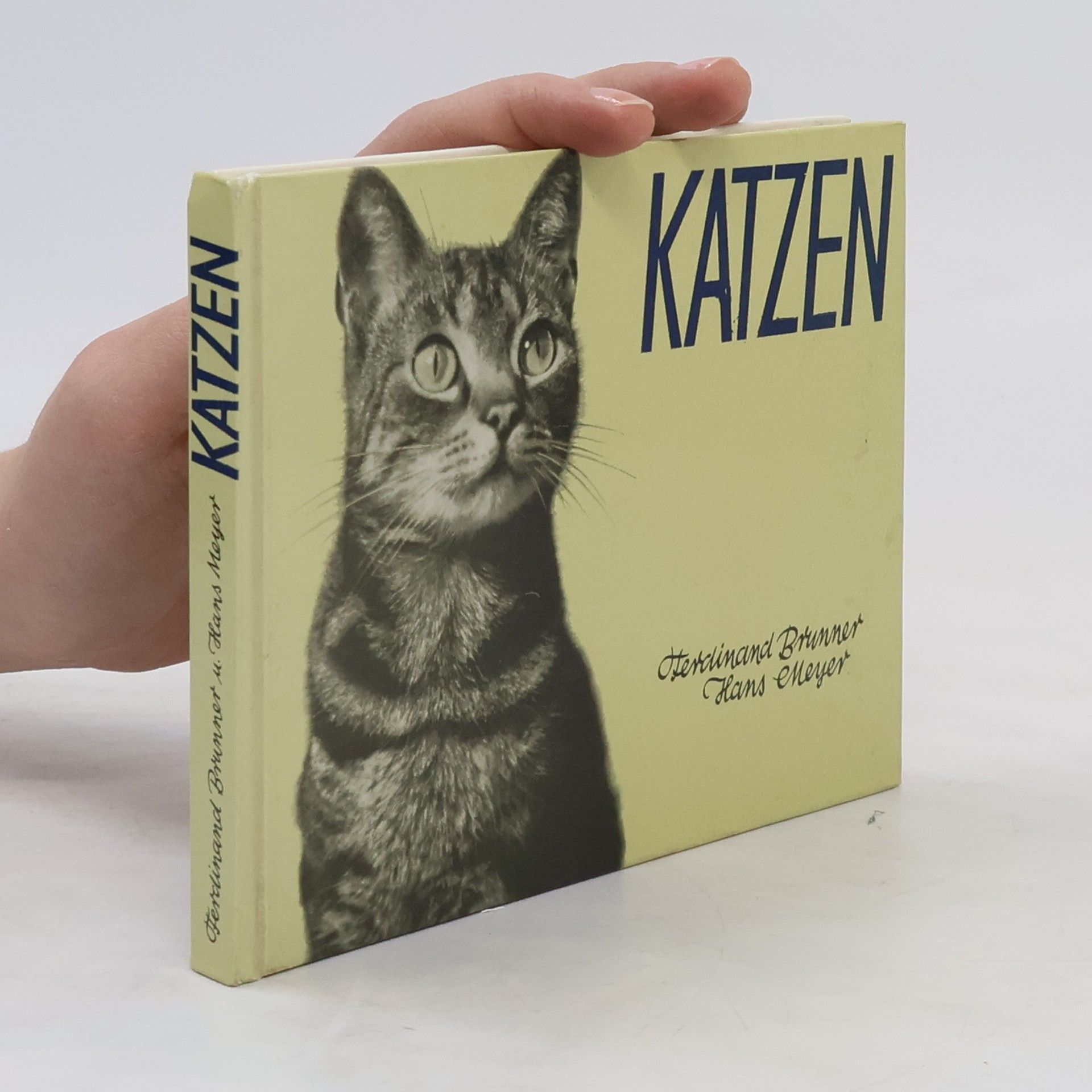 Ferdinand Brunner Katzen