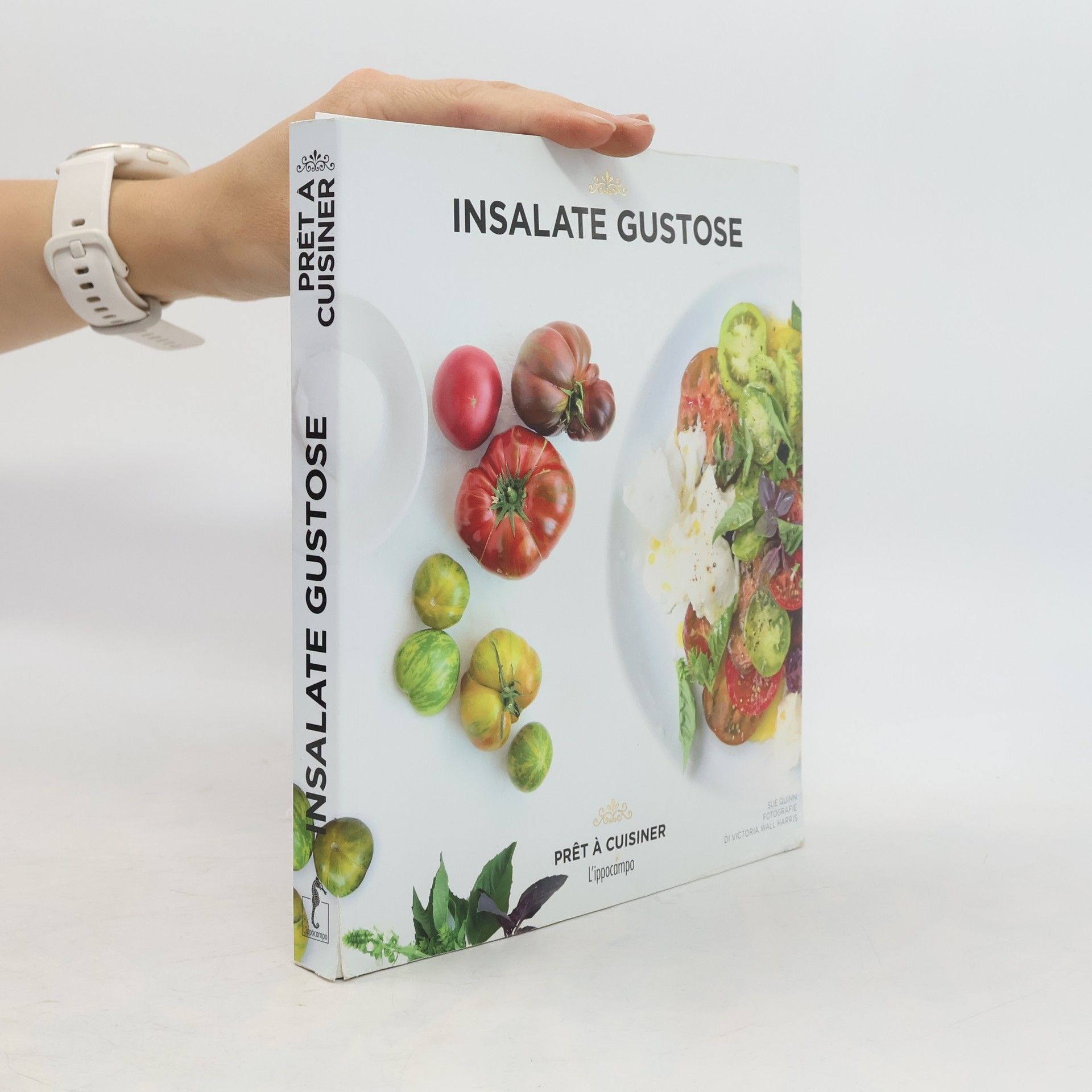 kolektiv Insalate gustose