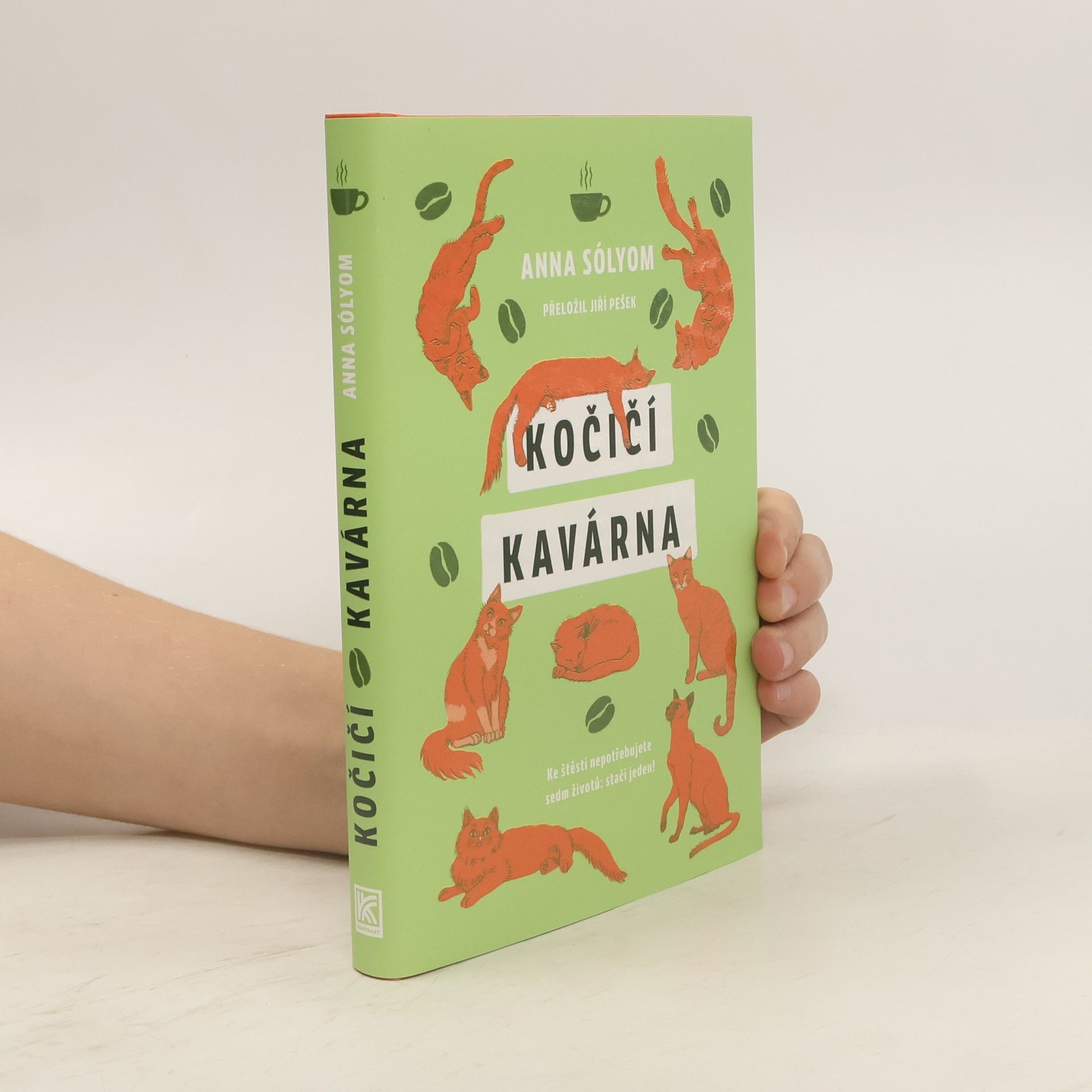 Anna Sólyom Kočičí kavárna