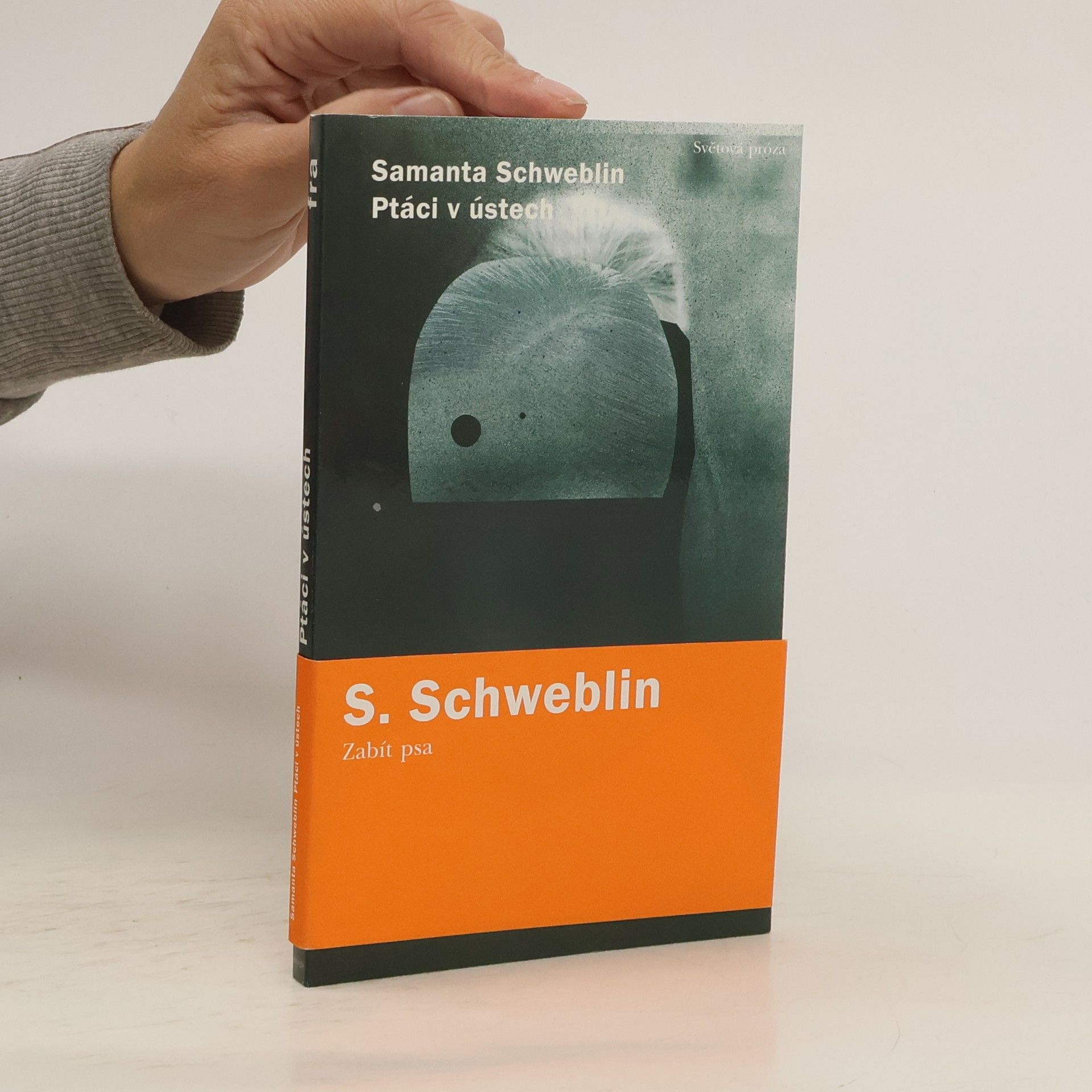 Samanta Schweblin Ptáci v ústech
