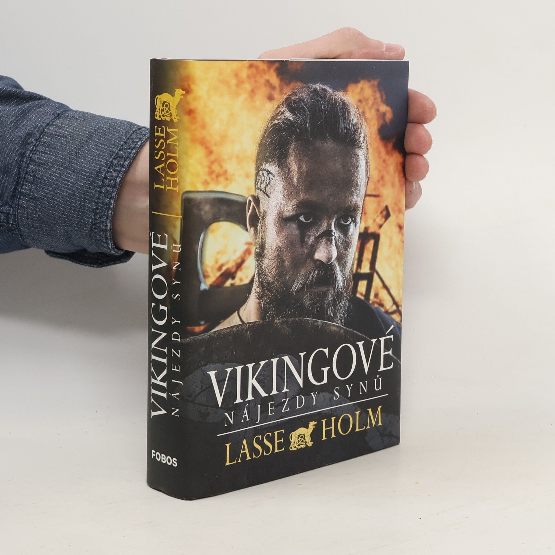Lasse Holm Vikingové. Nájezdy synů