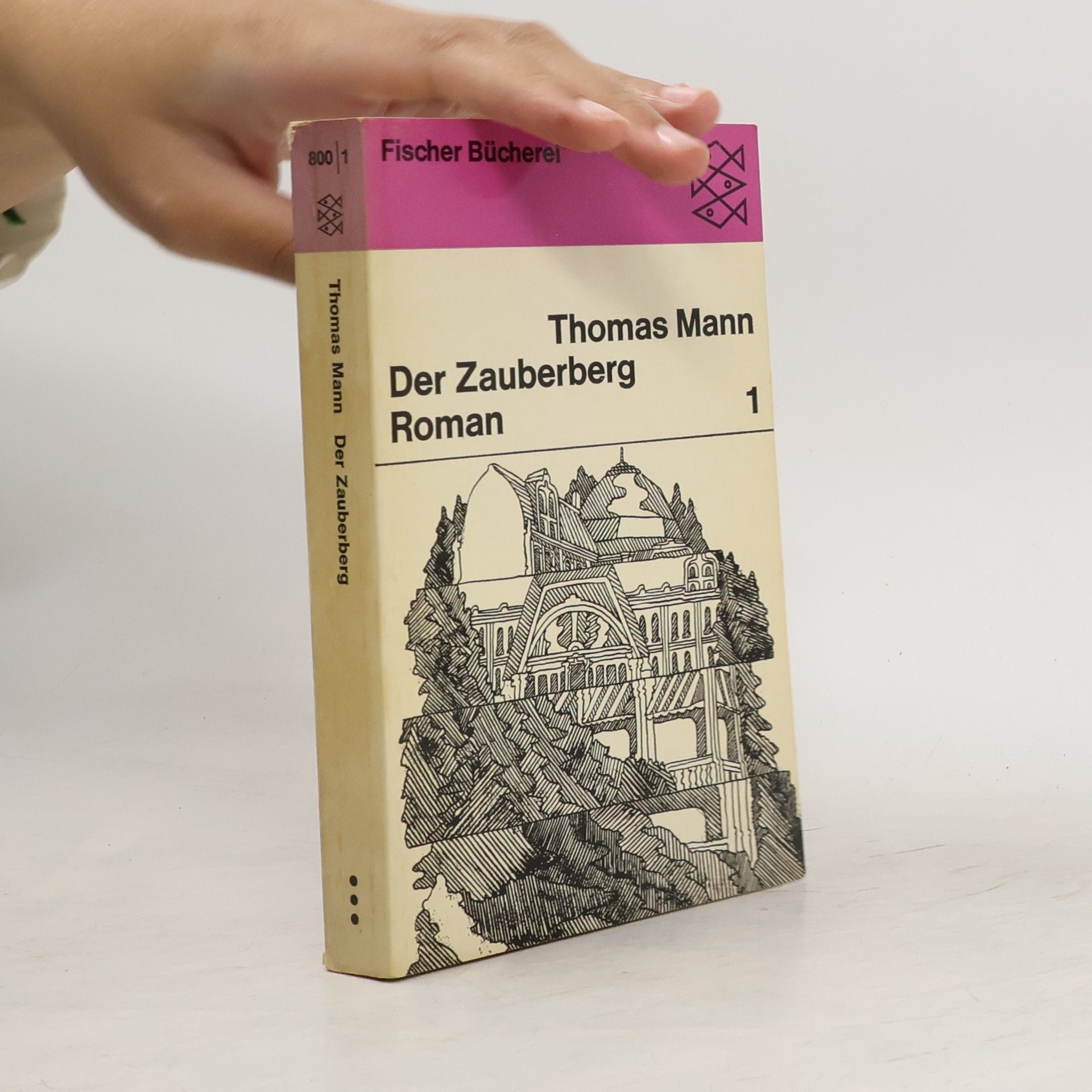 Thomas Mann Der Zauberberg 1