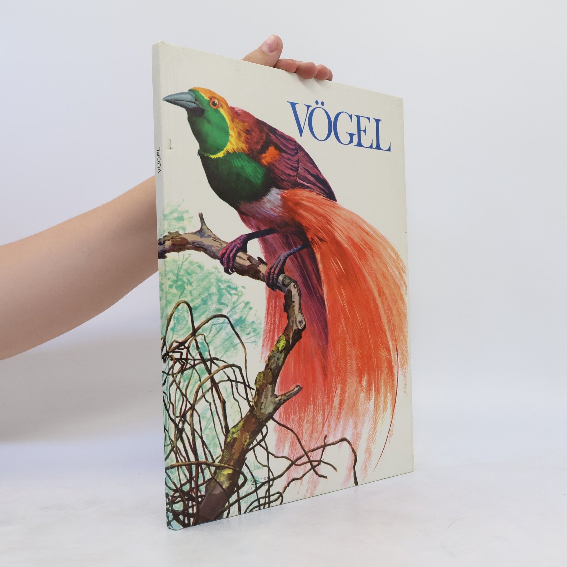 Autores varios Vögel