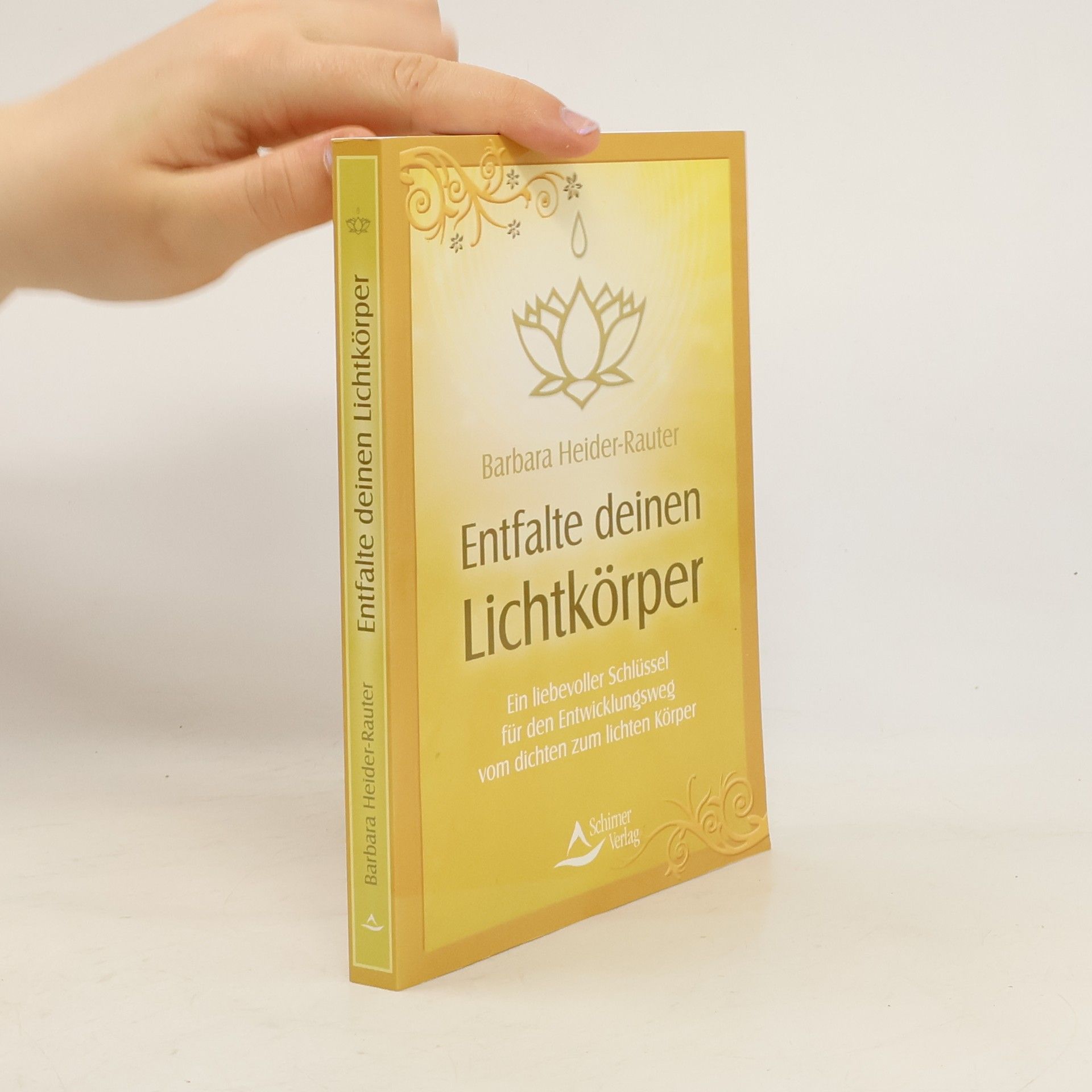 Barbara Heider Rauter Entfalte deinen Lichtkörper