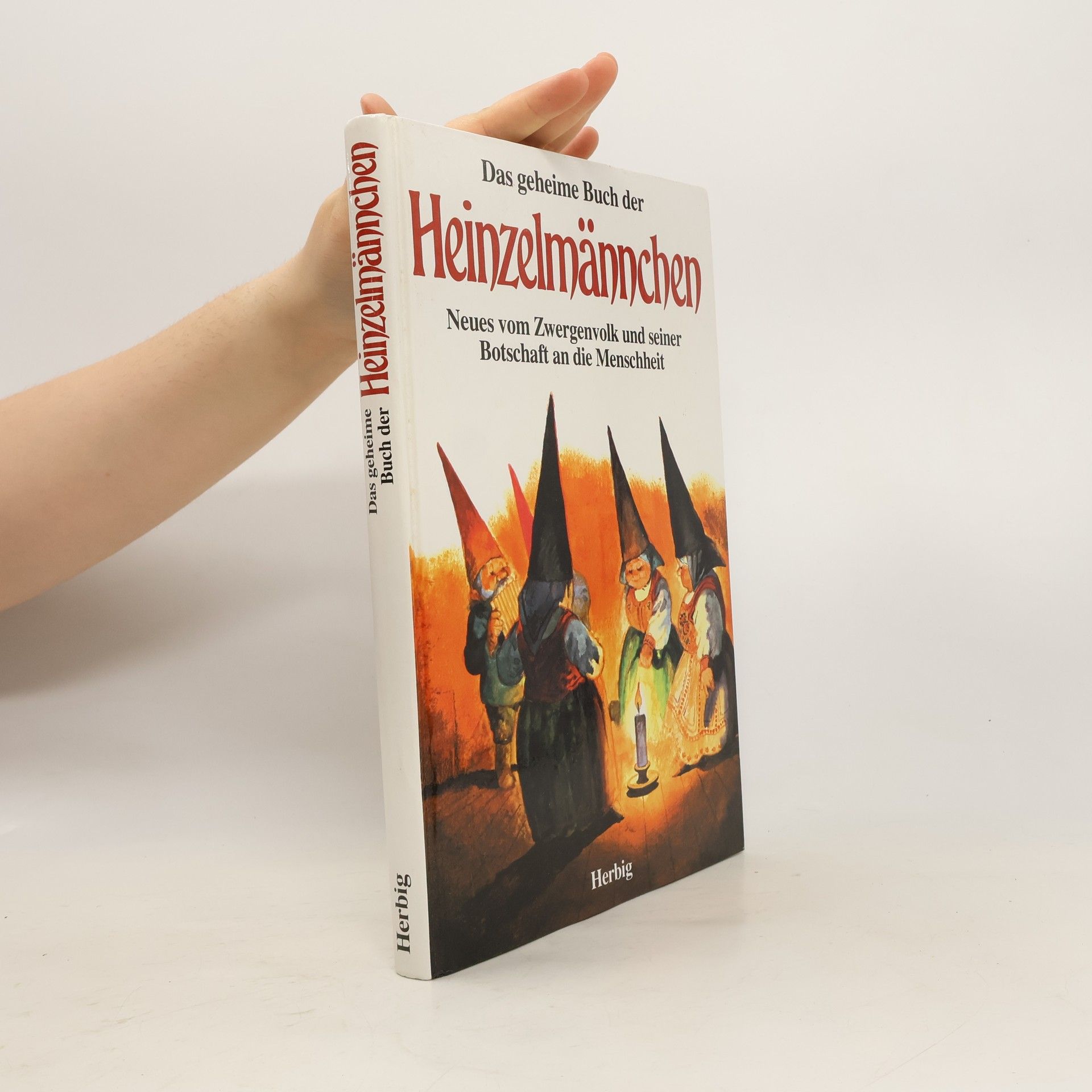 WILL HUYGEN Das geheime Buch der Heinzelmännchen