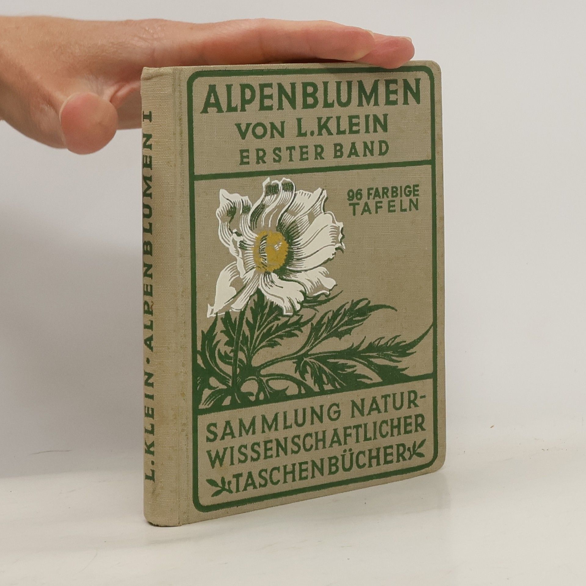 Ludwig Klein Alpenblumen