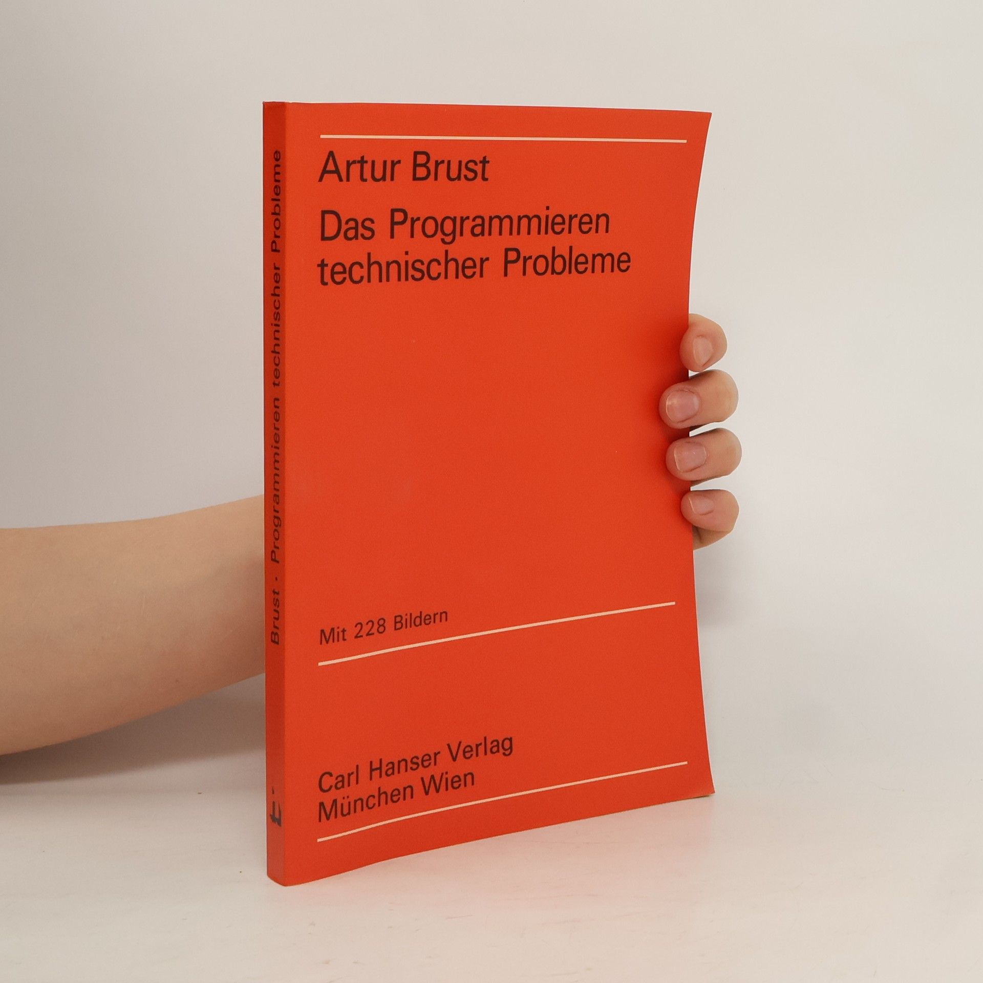 Artur Brust Das Programmieren technischer Probleme