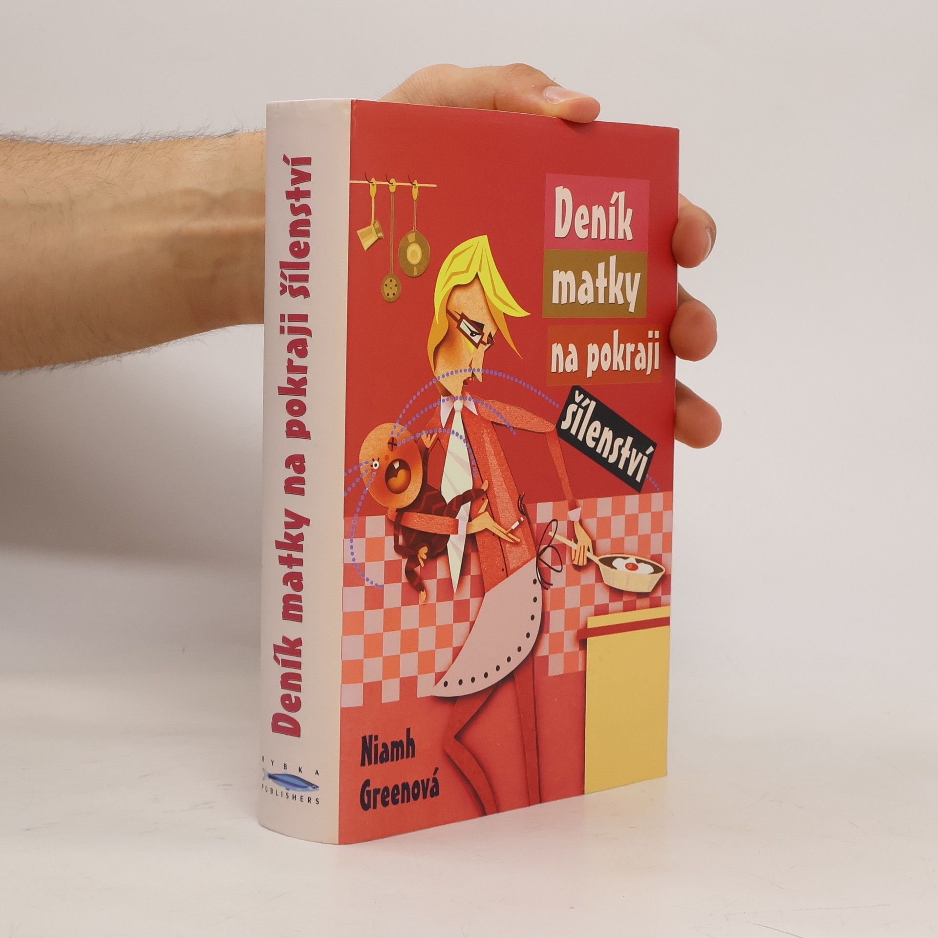 Niamh Greene Deník matky na pokraji šílenství