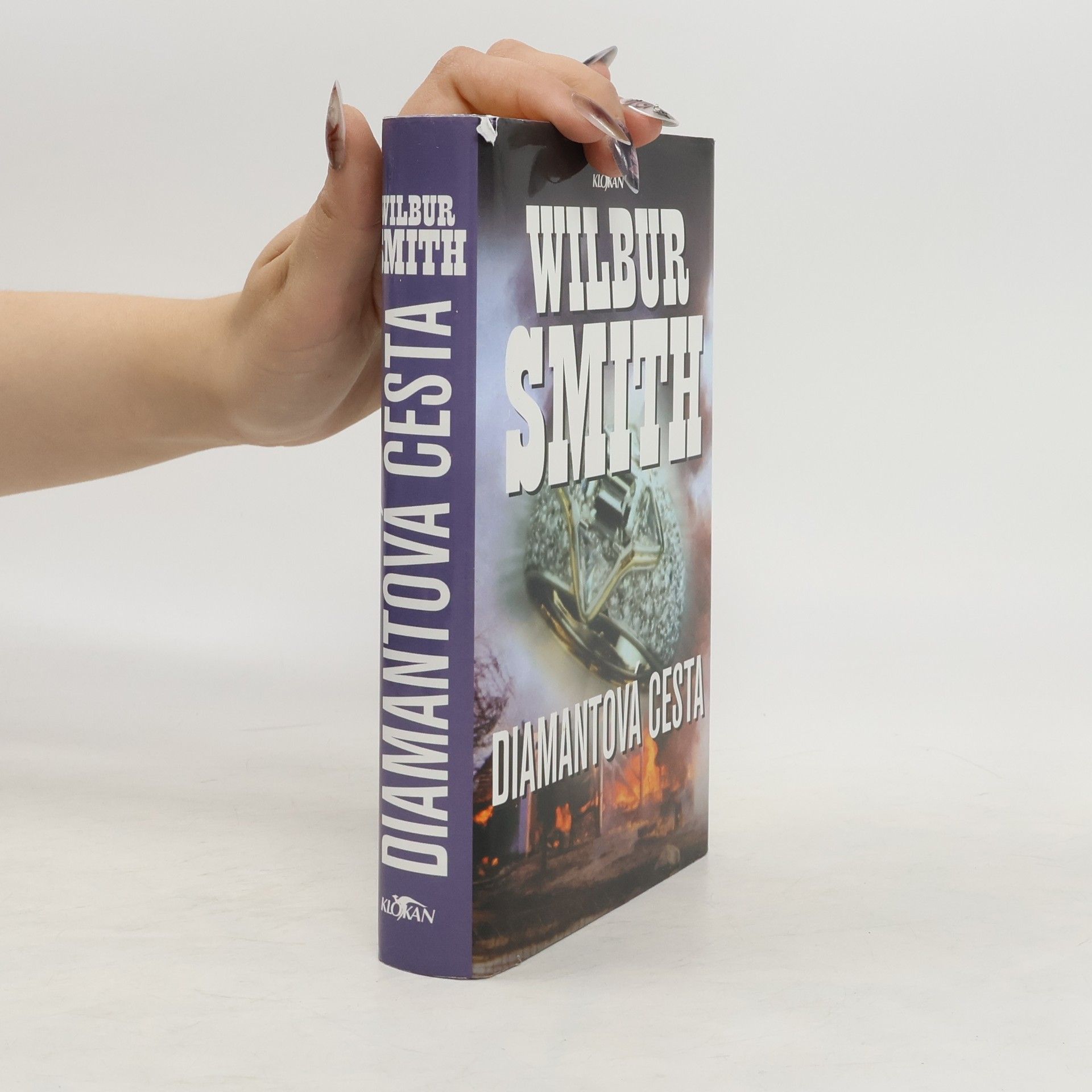 Wilbur Smith Diamantová cesta