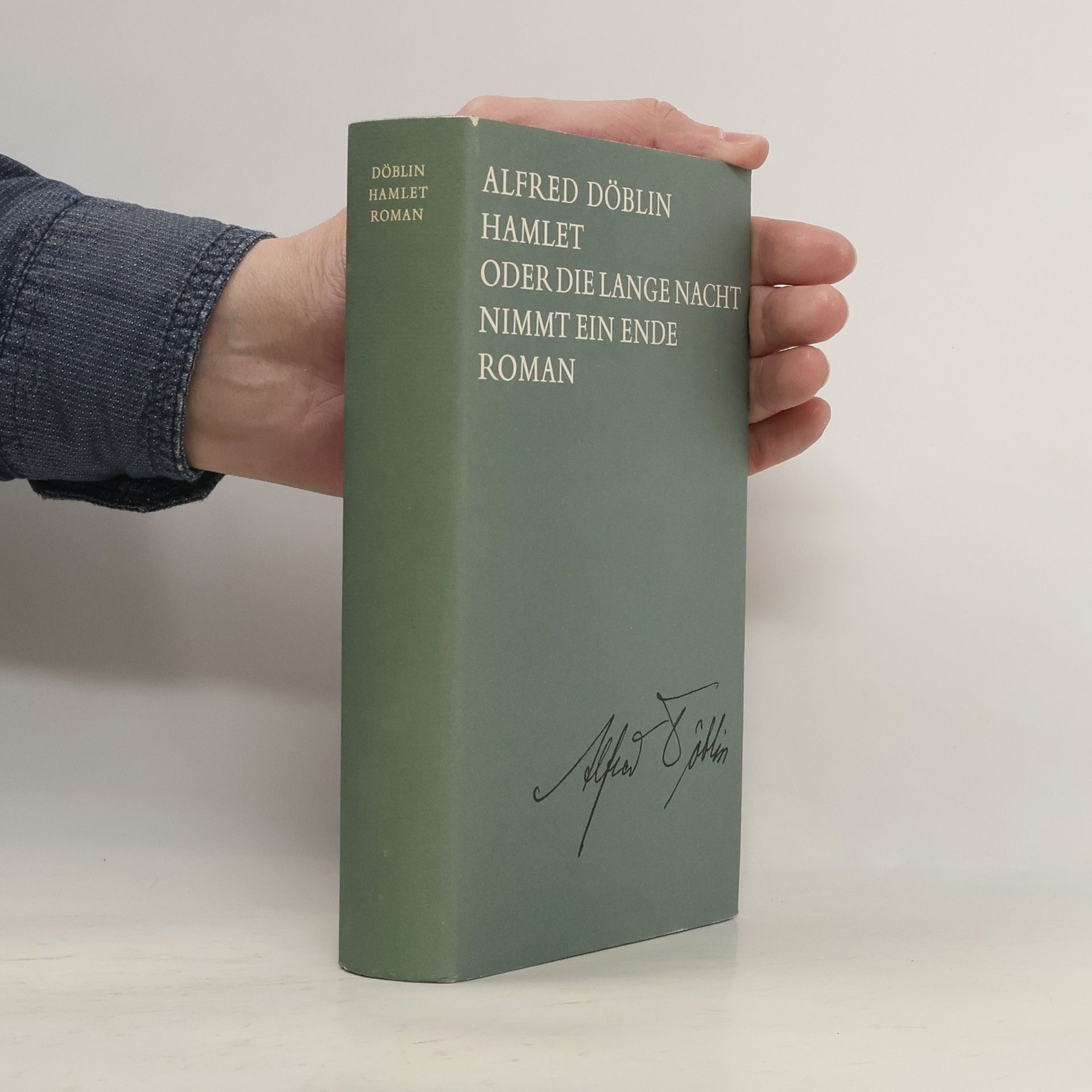 Alfred Döblin Hamlet oder die lange Nacht nimmt ein Ende