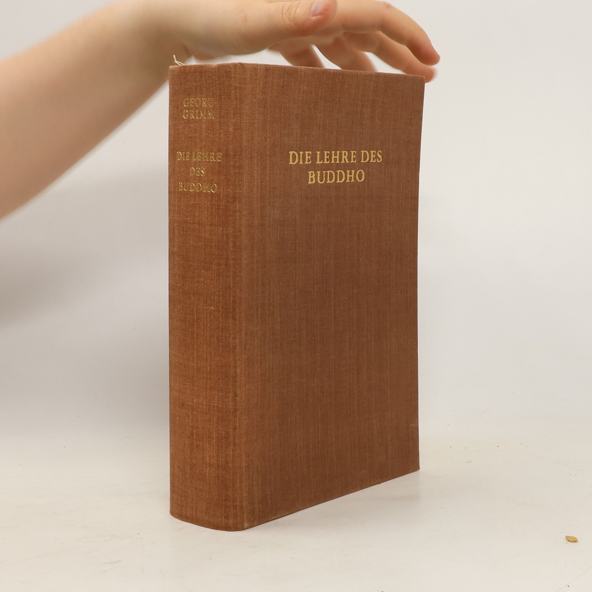 Georg Grimm Die Lehre des Buddho