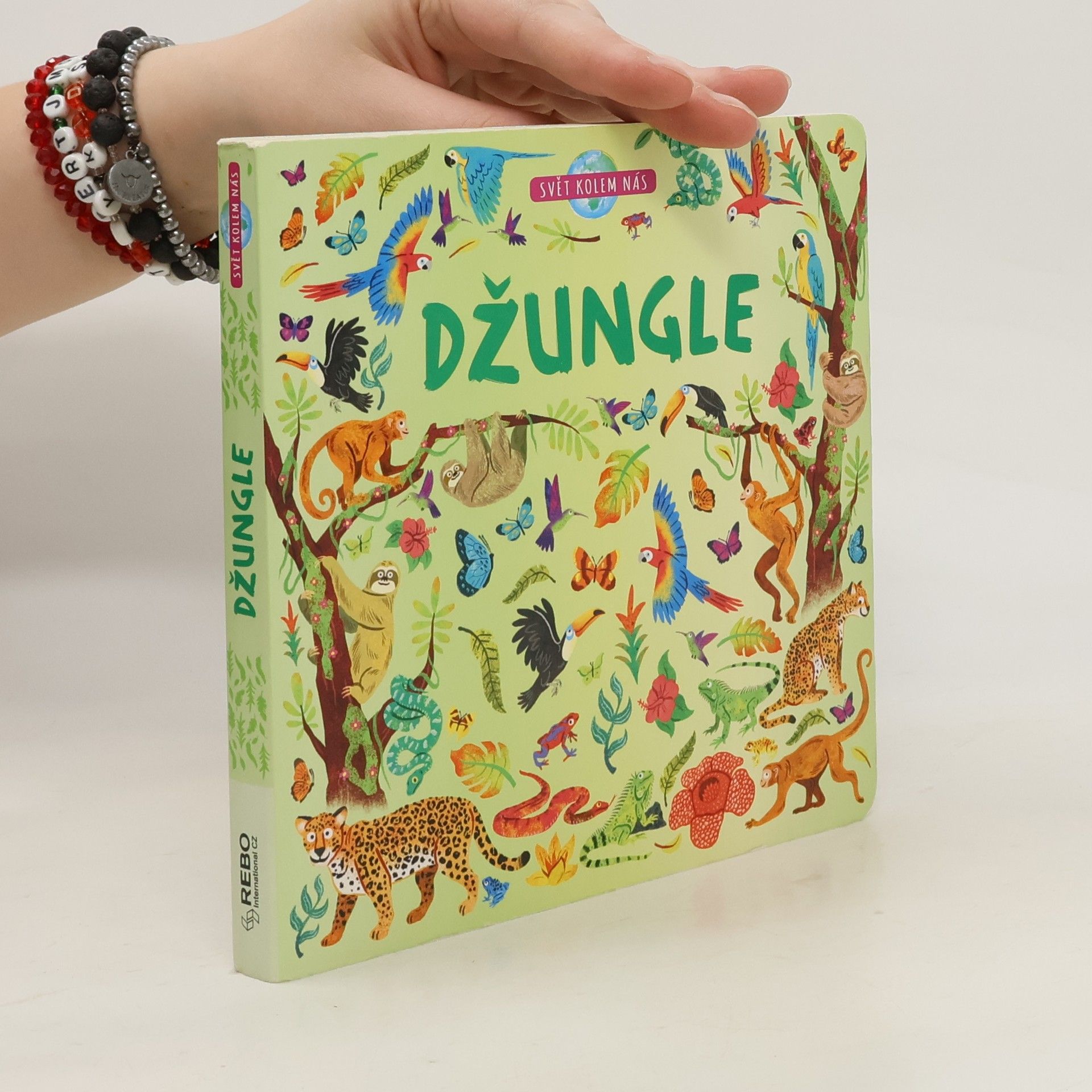 kolektiv Džungle