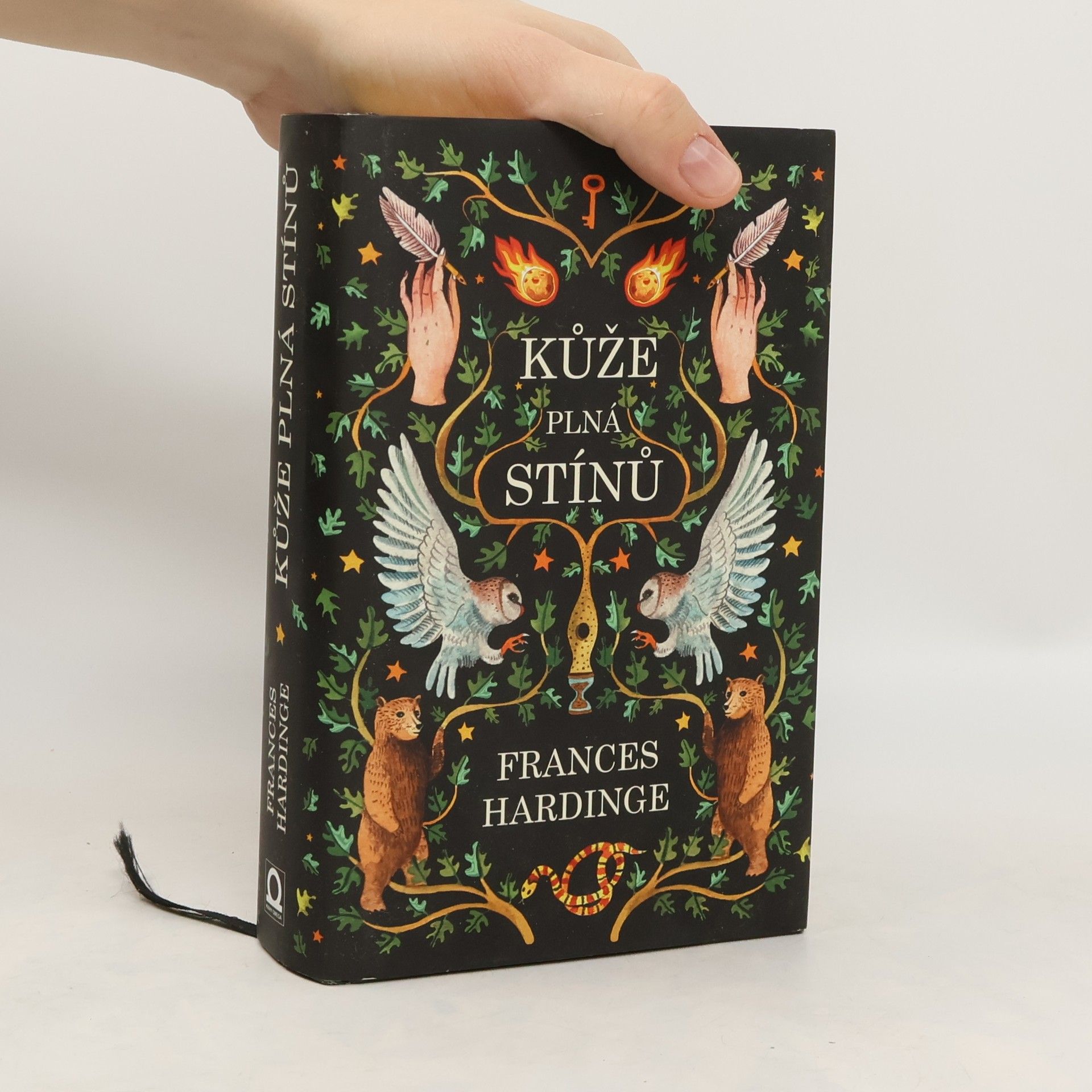 Frances Hardinge Kůže plná stínů