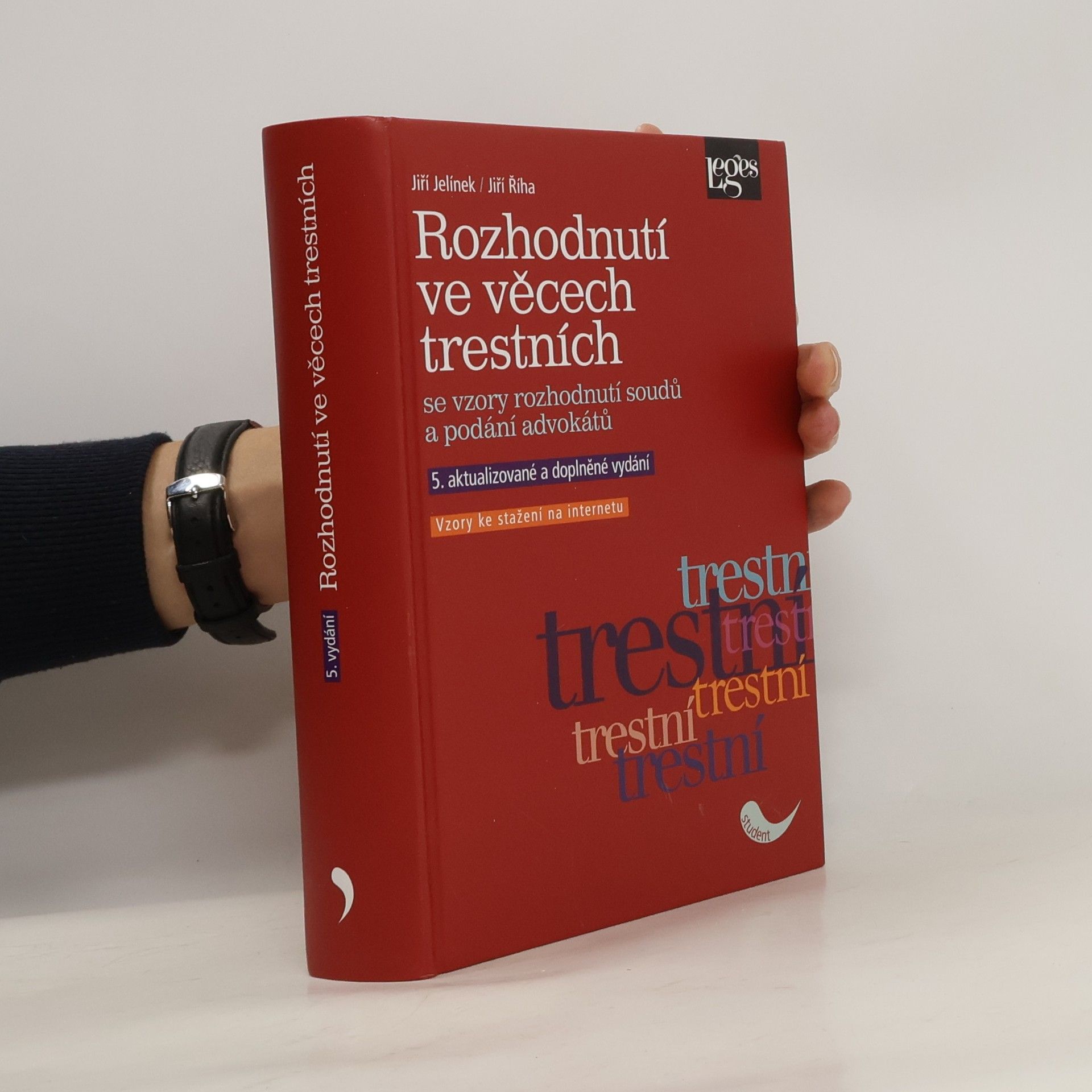 Jiří Jelínek Rozhodnutí ve věcech trestních. Se vzory rozhodnutí soudů a podání advokátů