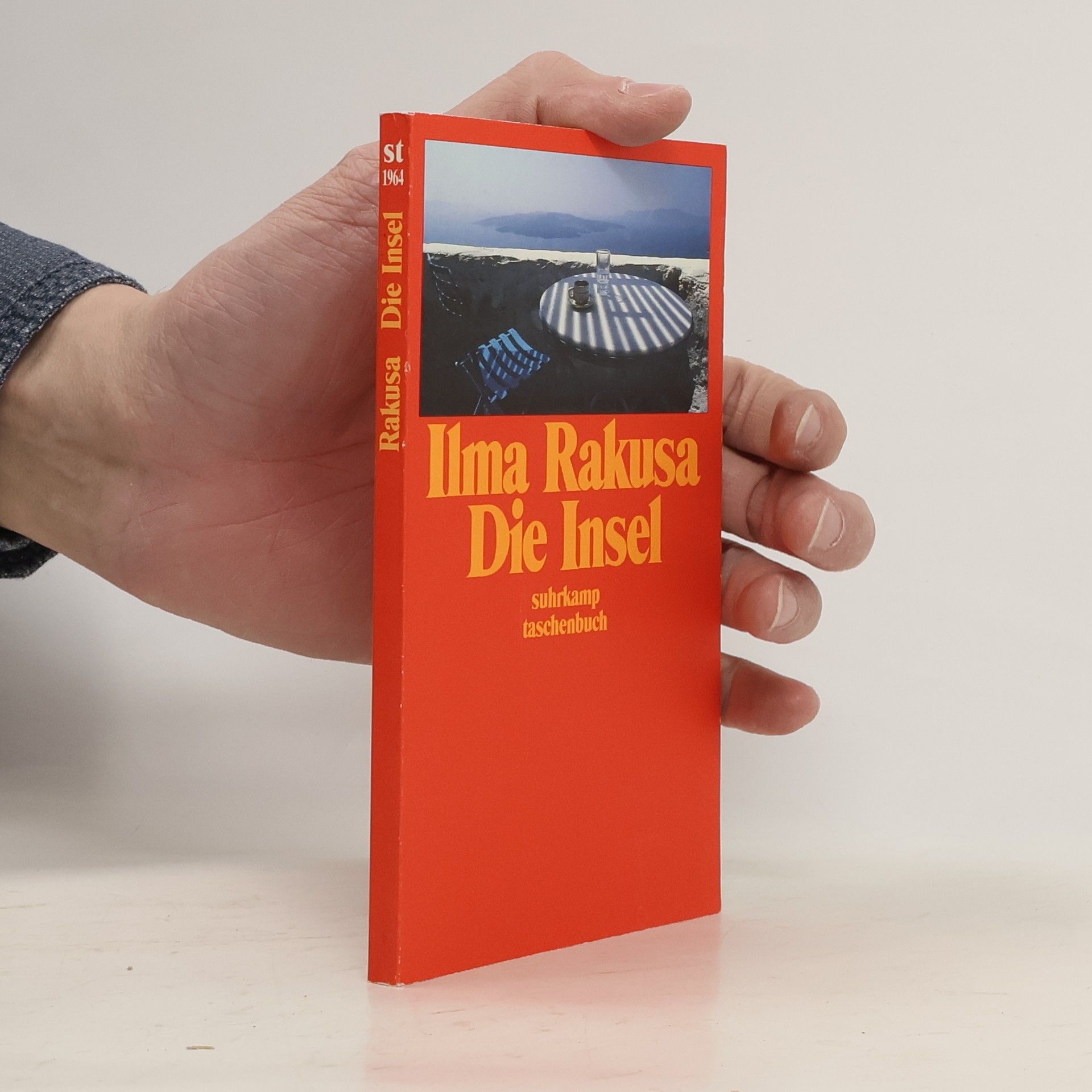 Ilma Rakusa Die Insel