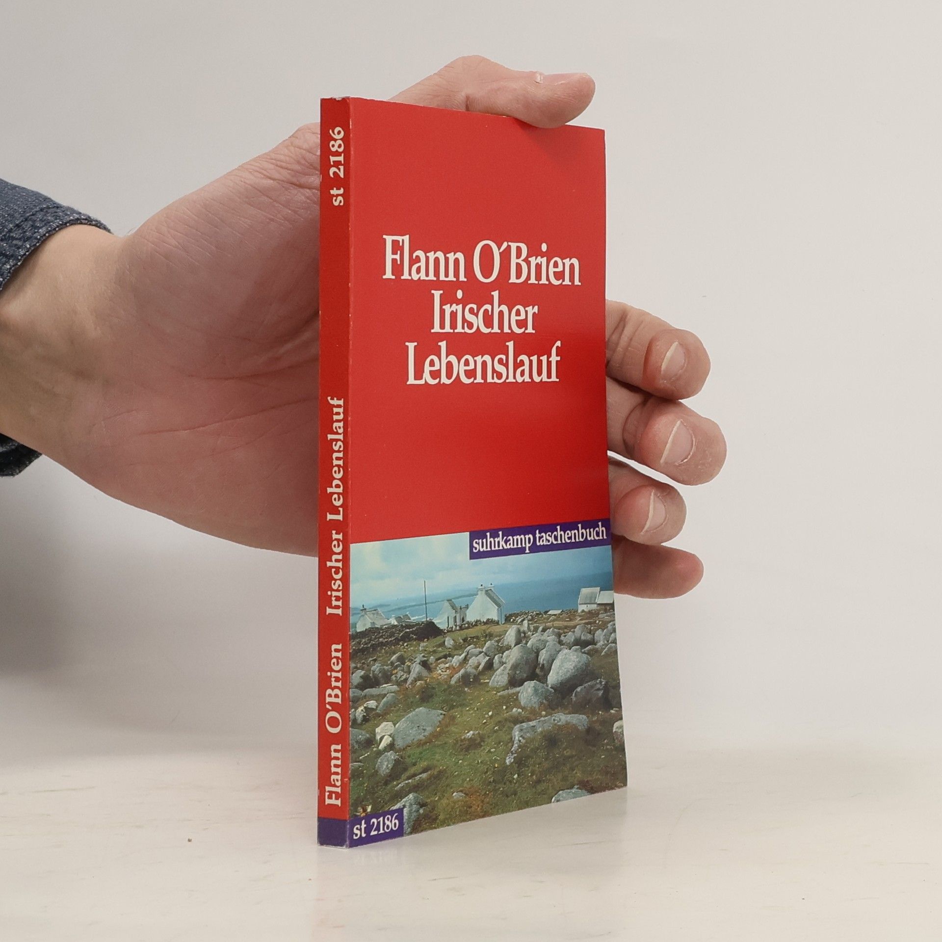 Flann O. Brien Irischer Lebenslauf. Eine arge Geschichte vom harten Leben. Hrsg. v. Myles na Gopaleen
