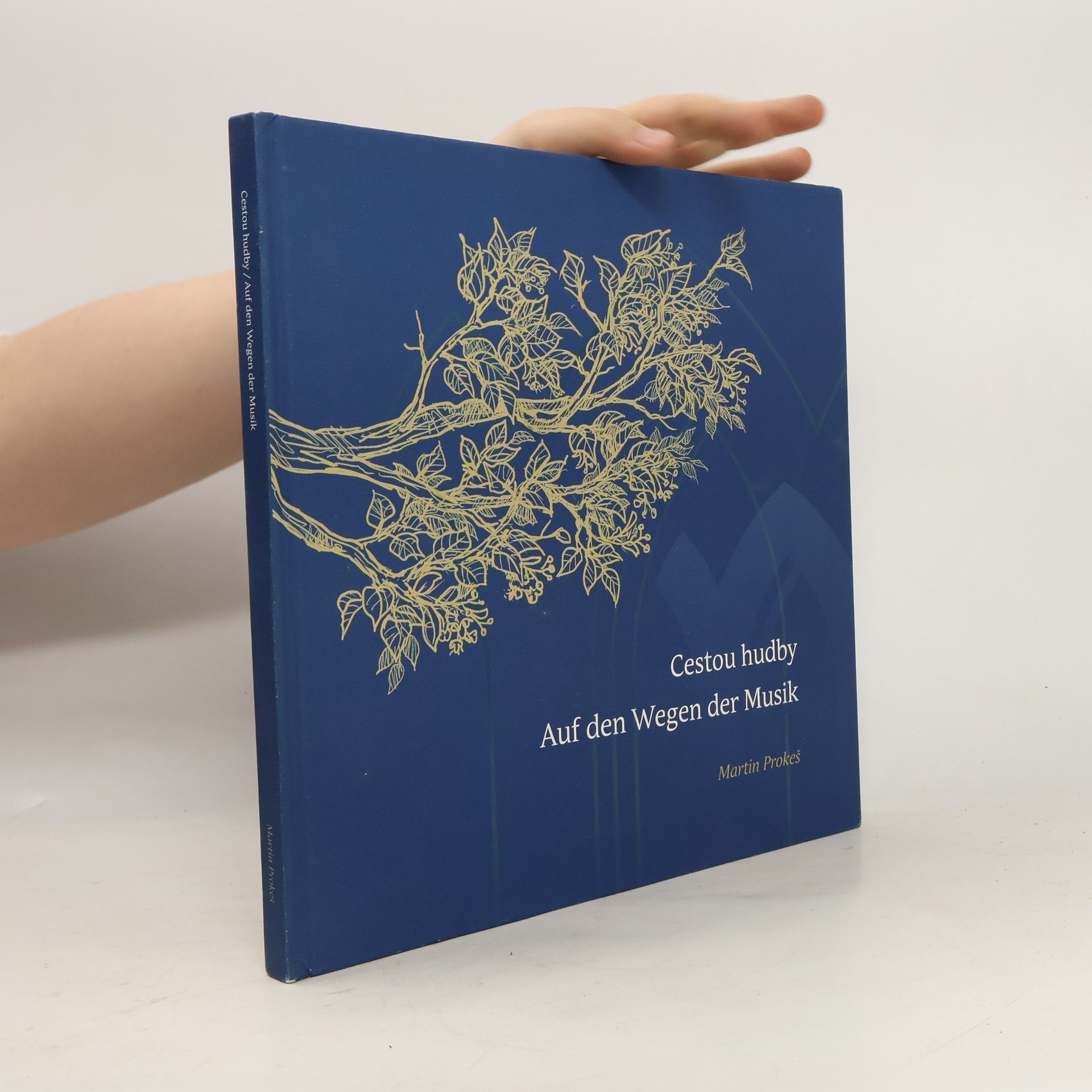 Martin Prokeš Cestou hudby. Auf den Wegen der Musik