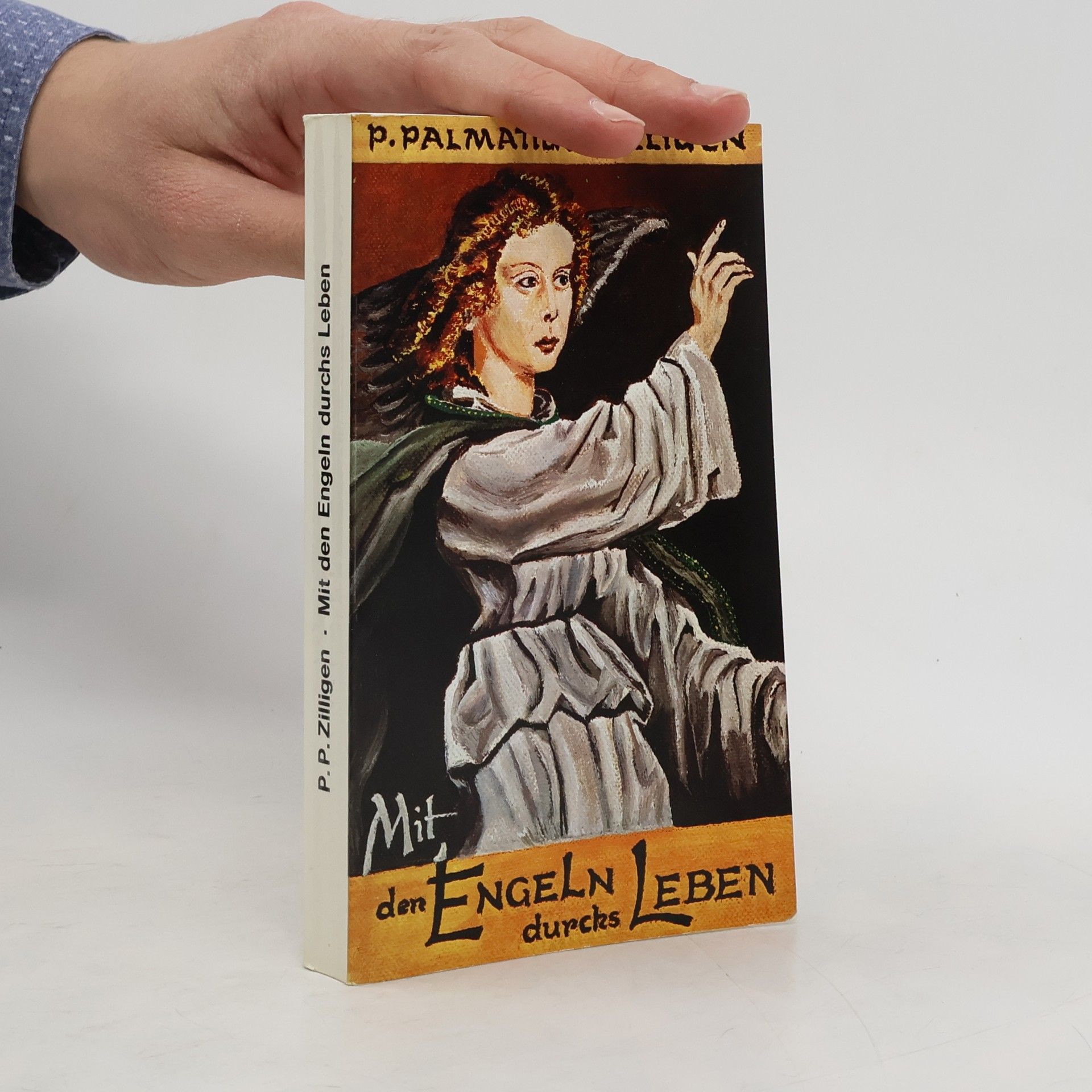 Palmatius Zilligen Mit den Engeln durchs Leben