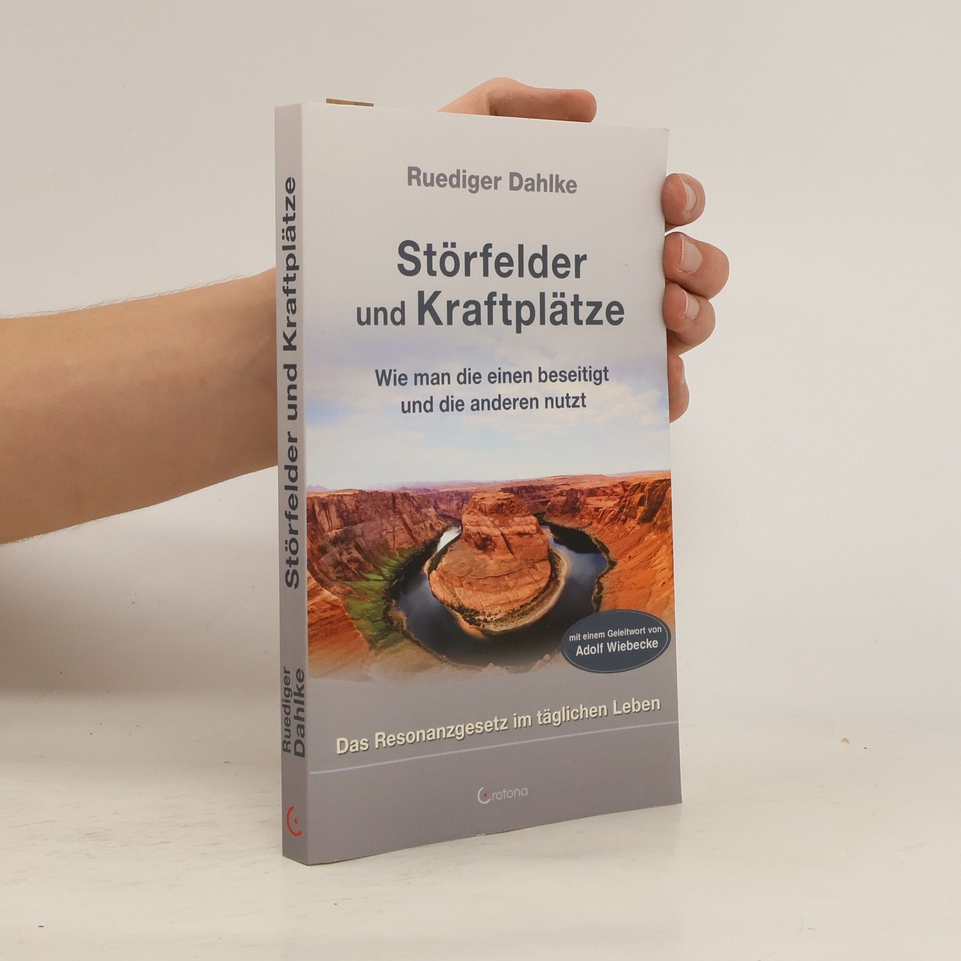 Ruediger Dahlke Störfelder und Kraftplätze