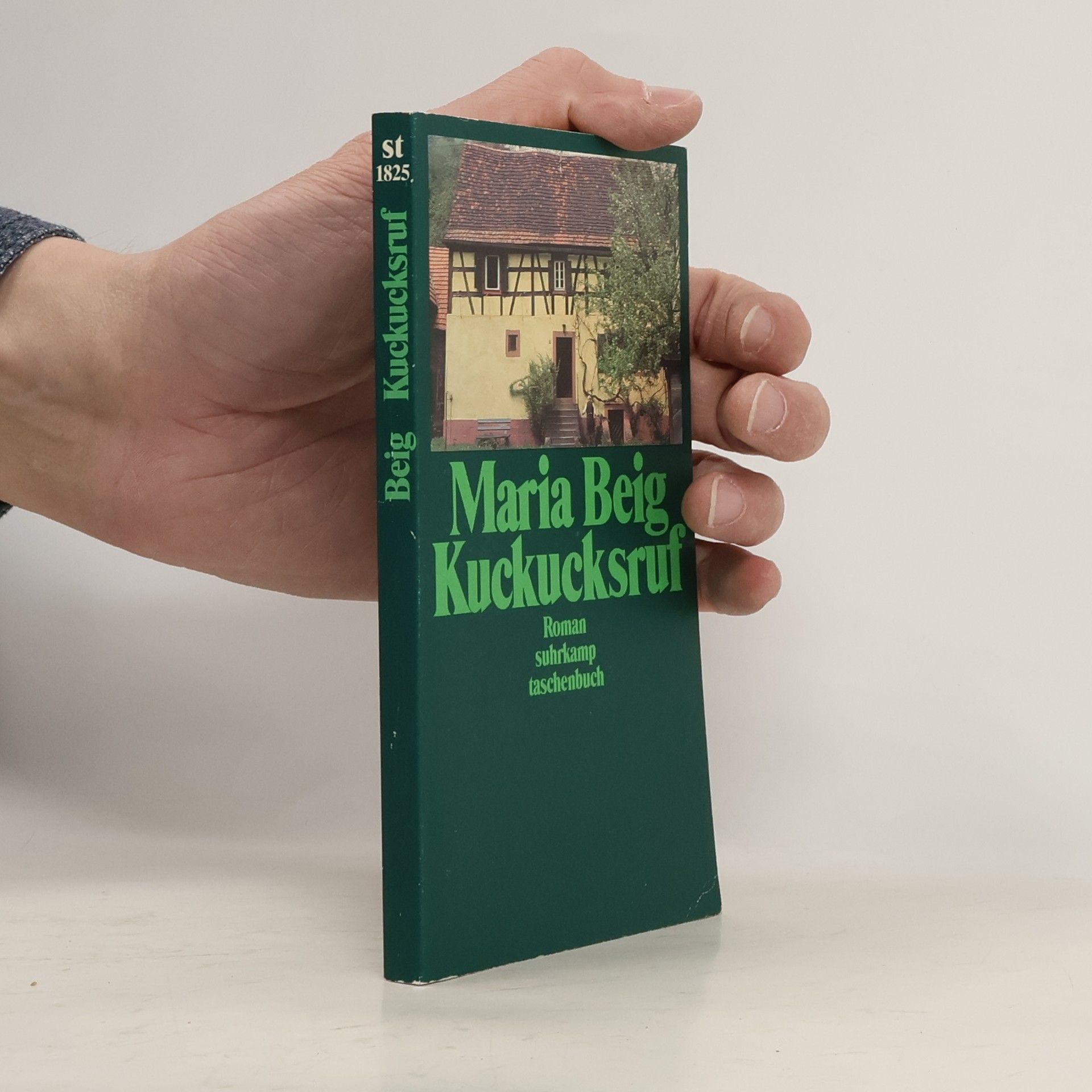 Maria Beig Kuckucksruf. Roman
