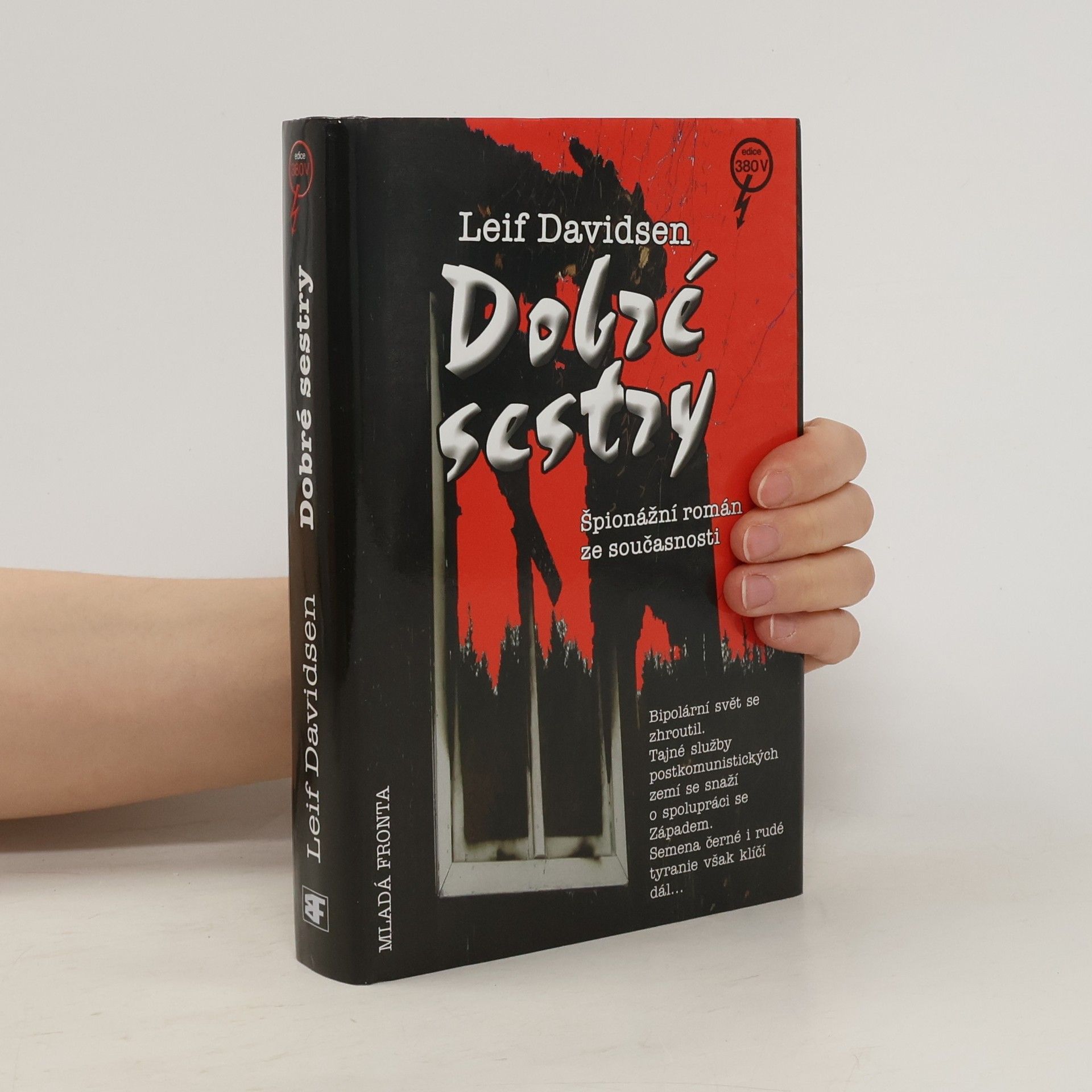 Leif Davidsen Dobré sestry