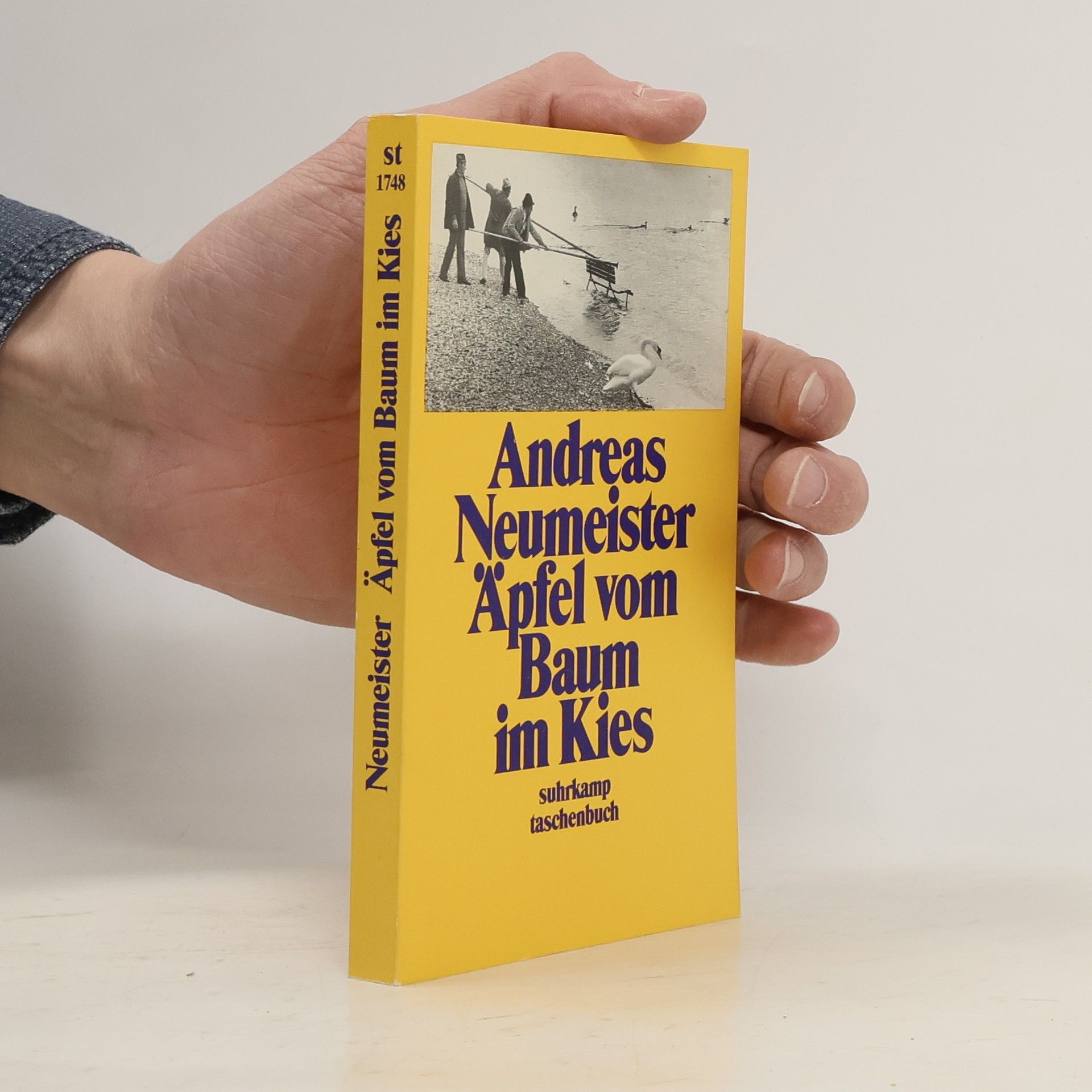Andreas Neumeister Äpfel vom Baum im Kies