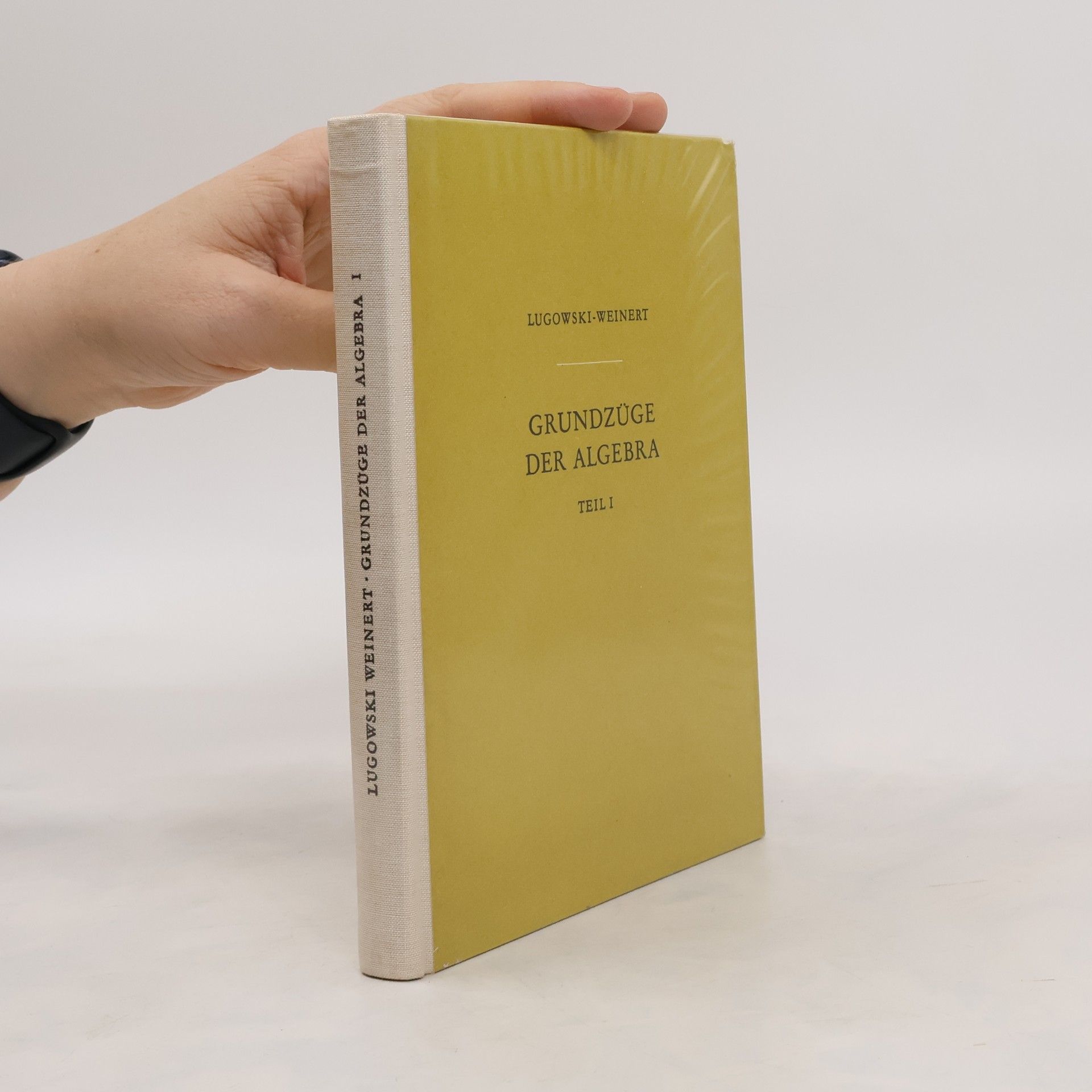 Lugowski Weinert Grundzüge der Algebra I