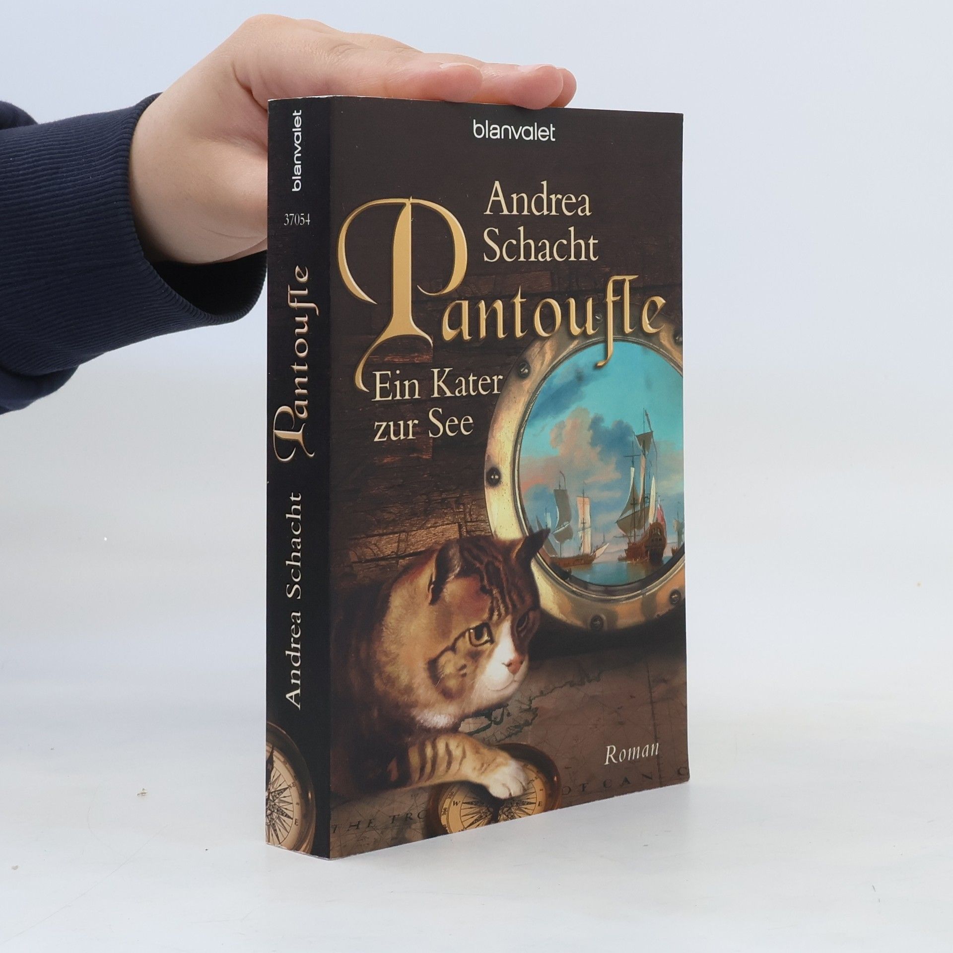 Andrea Schacht Pantoufle - Ein Kater zur See. Roman