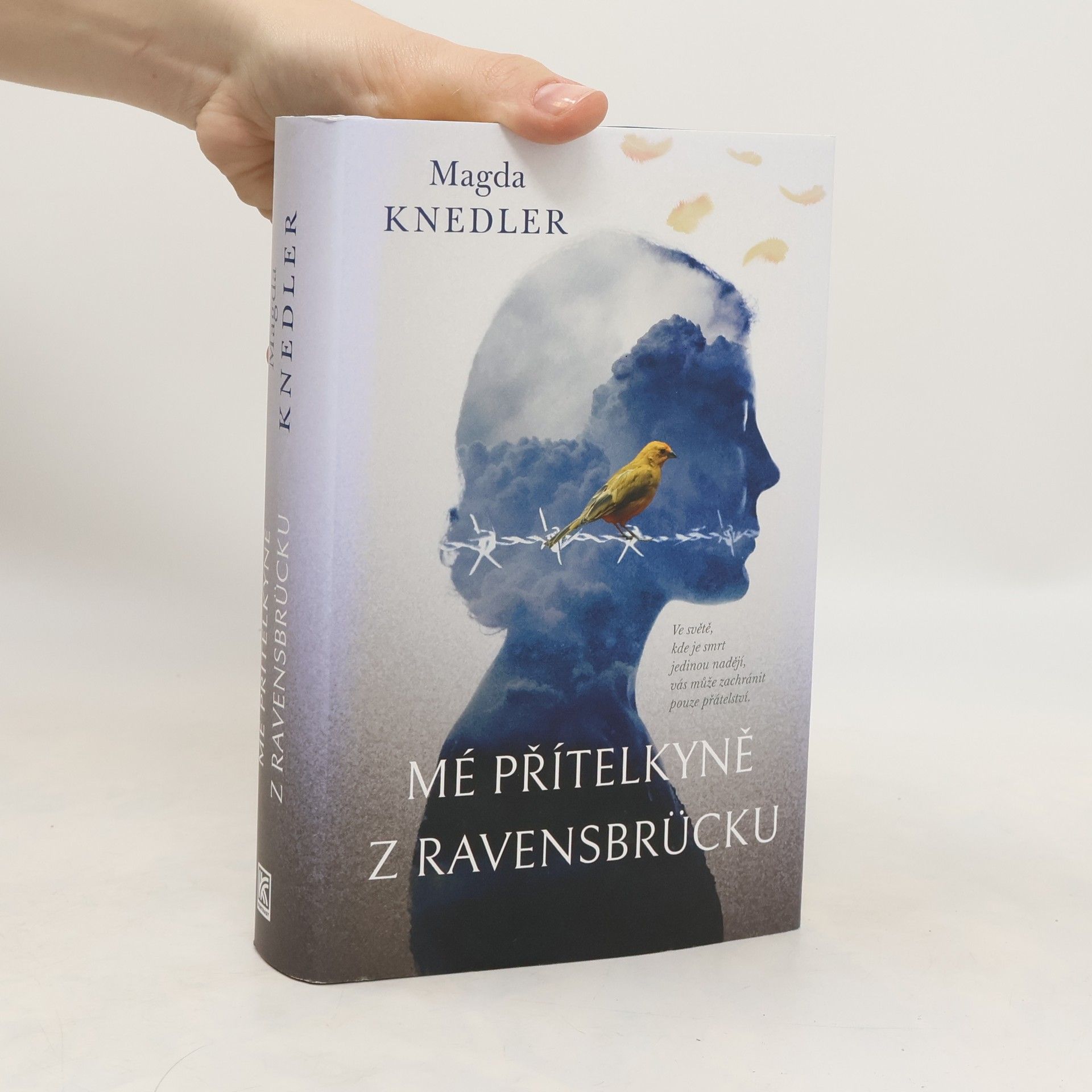 Magdalena Knedler Mé přítelkyně z Ravensbrücku