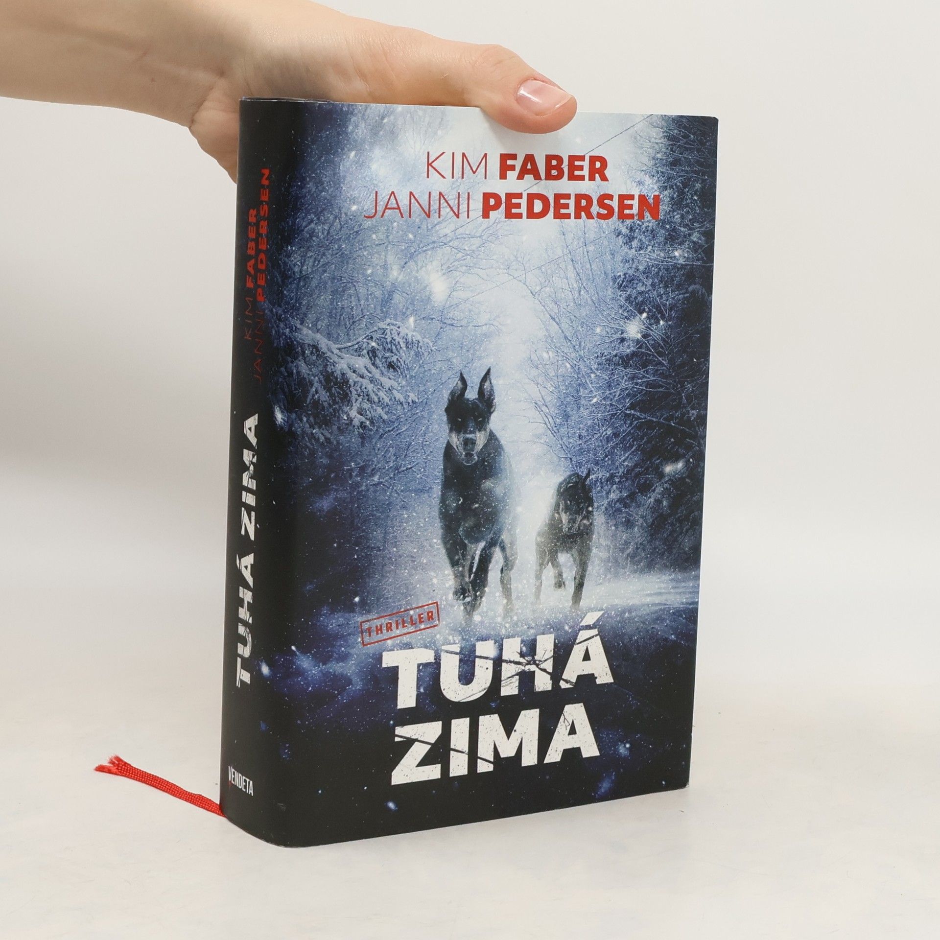 Kim Faber Tuhá zima