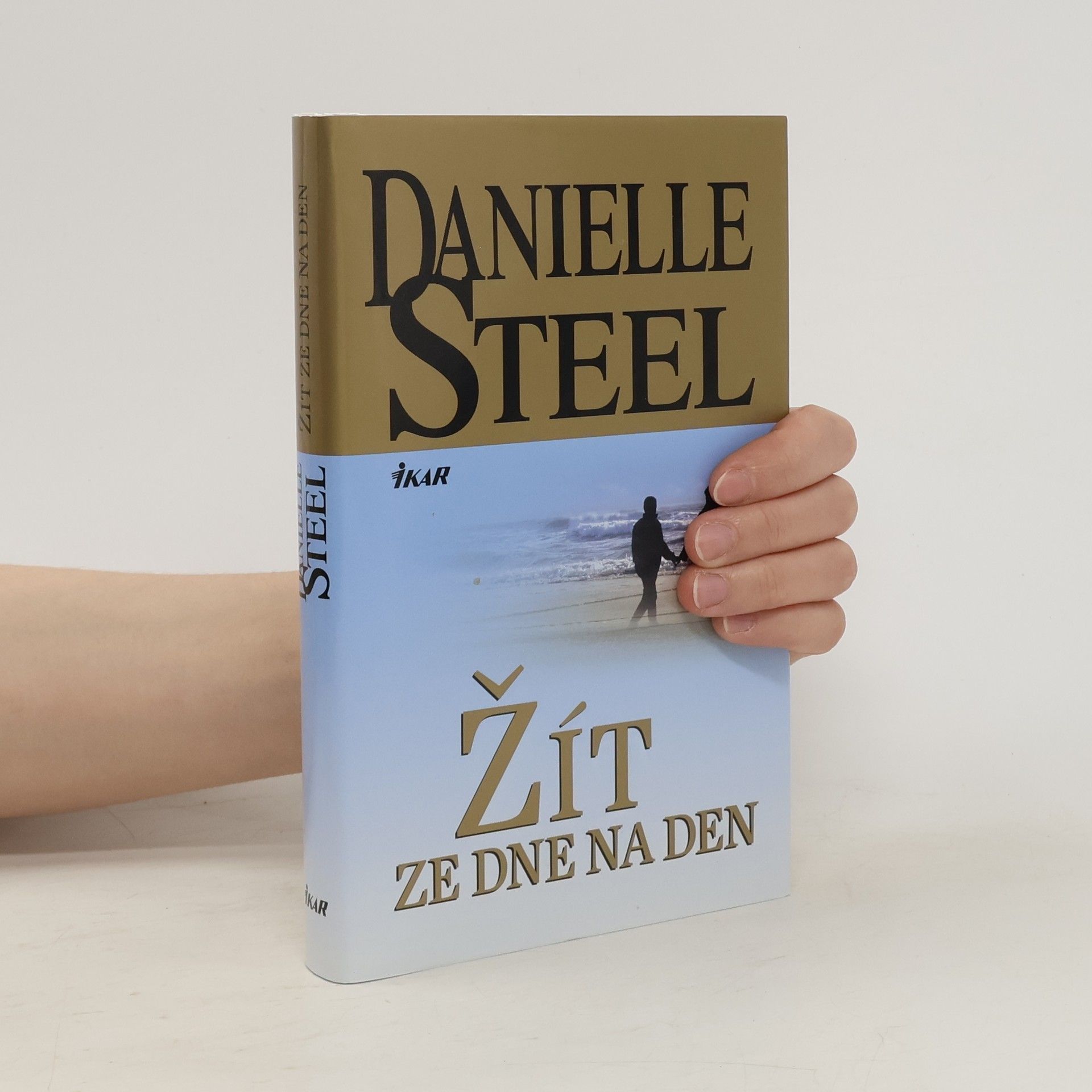 Danielle Steel Žít ze dne na den
