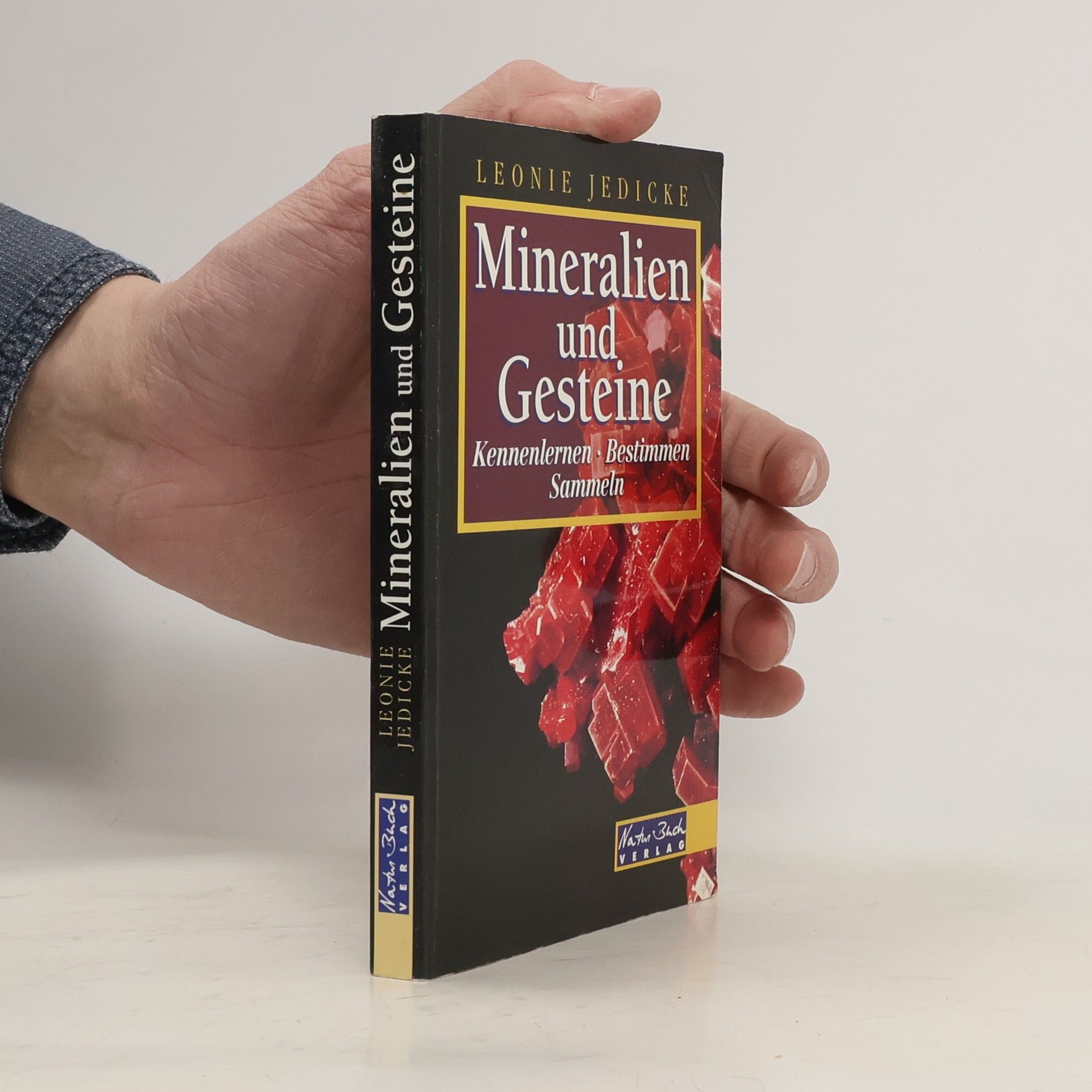 Leonie Jedicke Mineralien und Gesteine