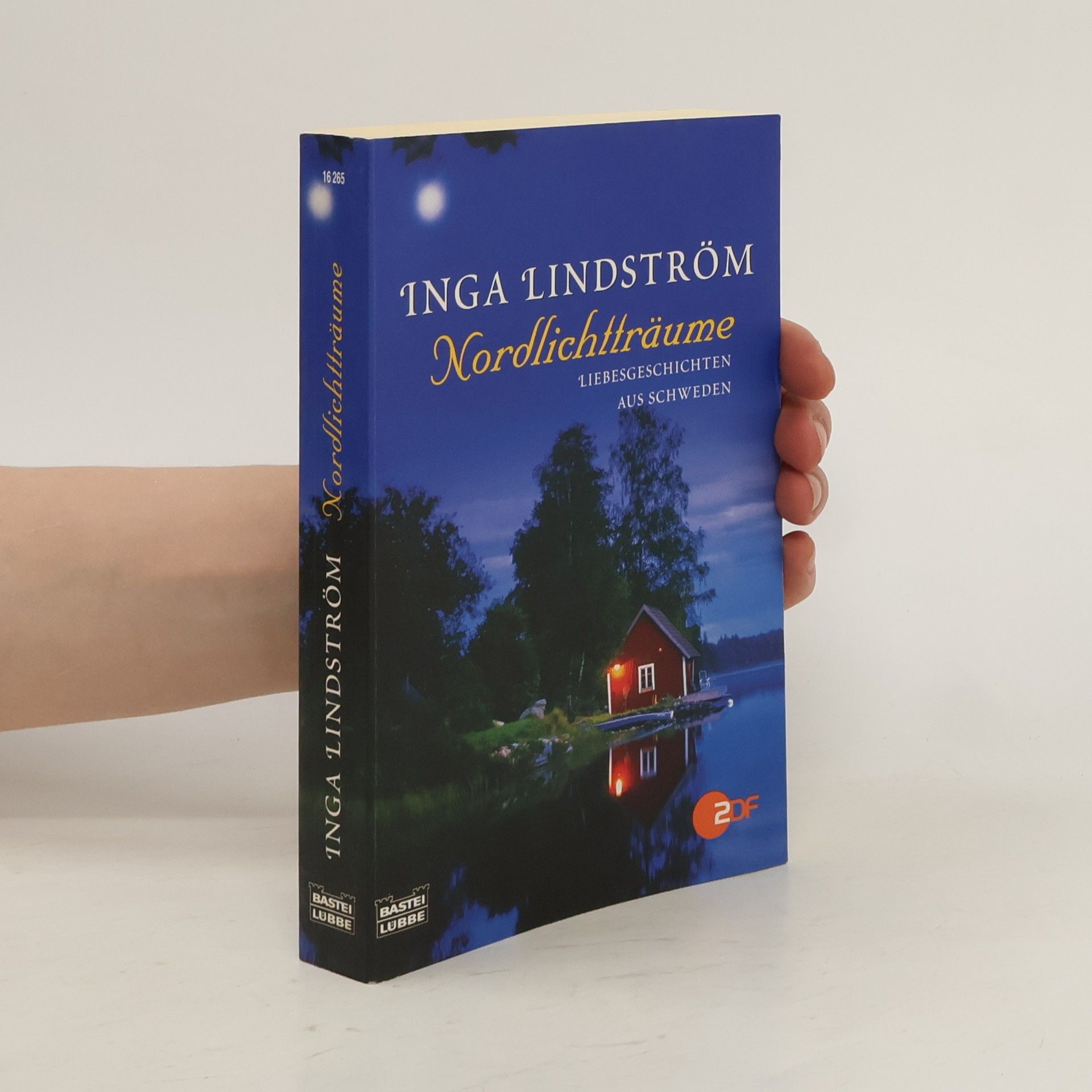 Inga Lindström Nordlichtträume