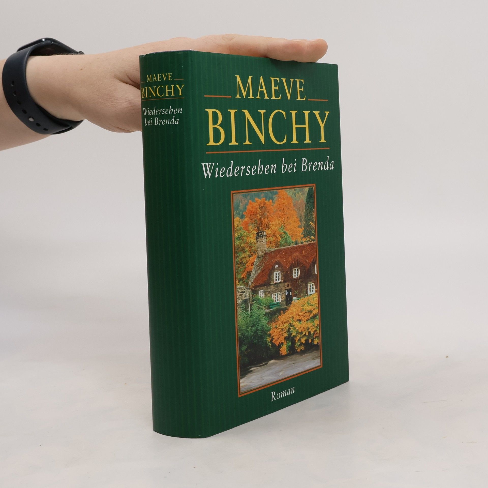 Maeve Binchy Wiedersehen bei Brenda