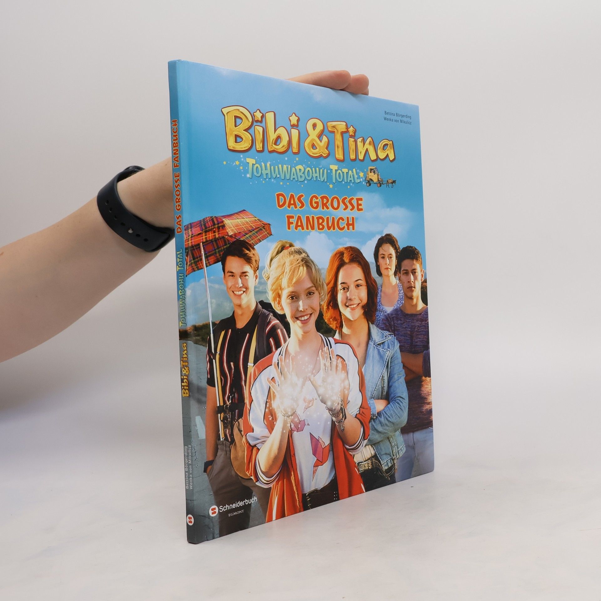 Bettina Börgerding Bibi & Tina - Tohuwabohu total: das große Fanbuch