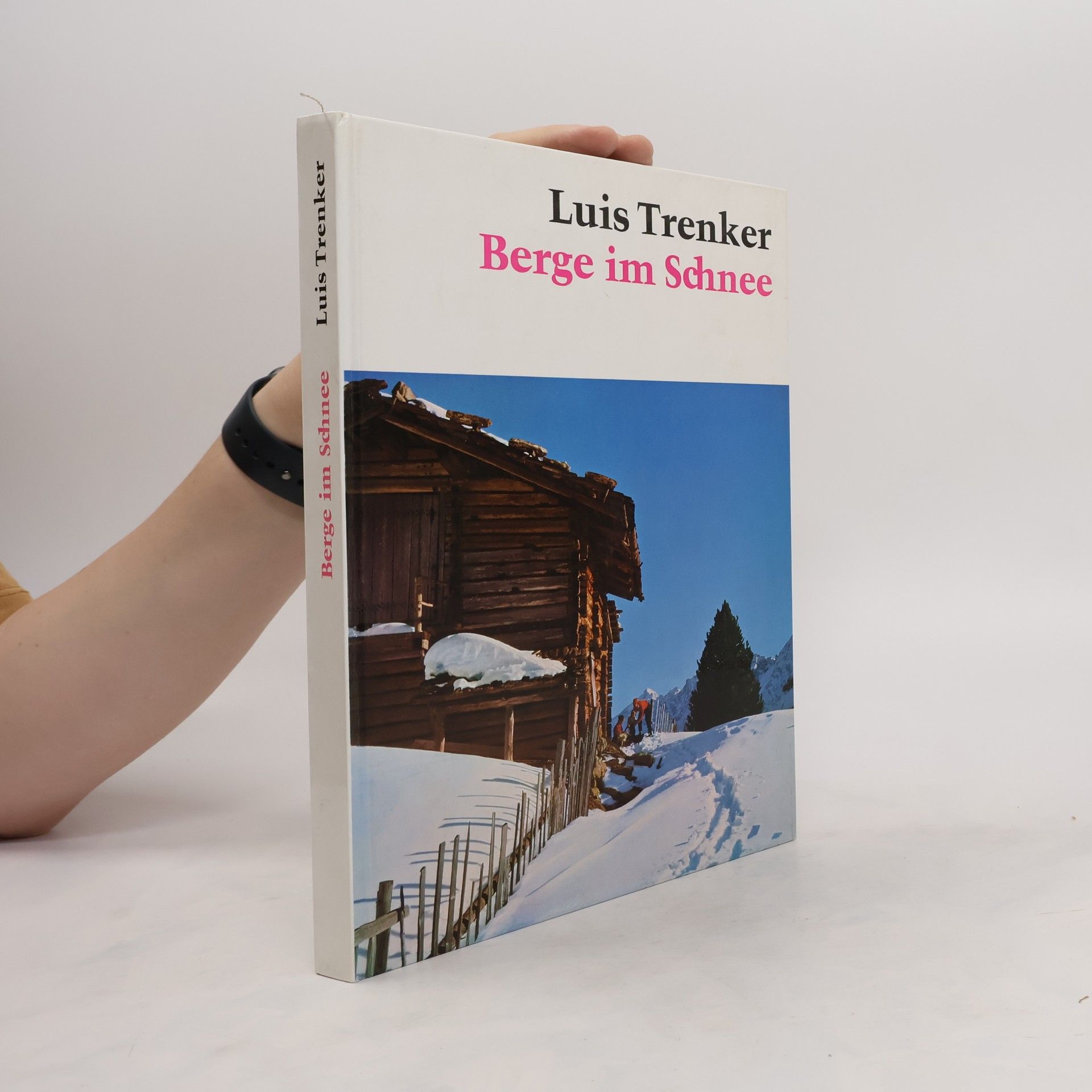 Luis Trenker Berge im Schnee