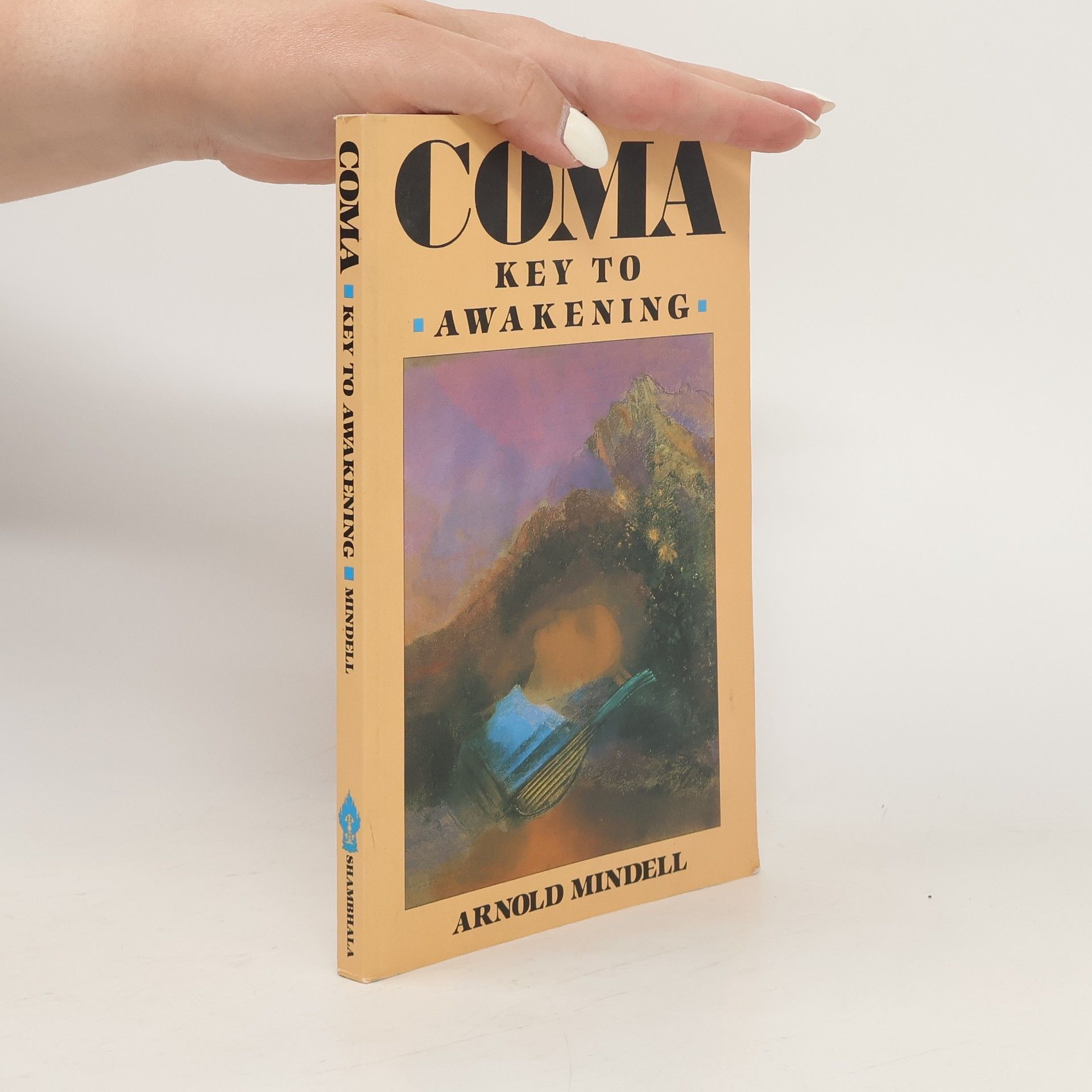 Arnold Mindell Coma