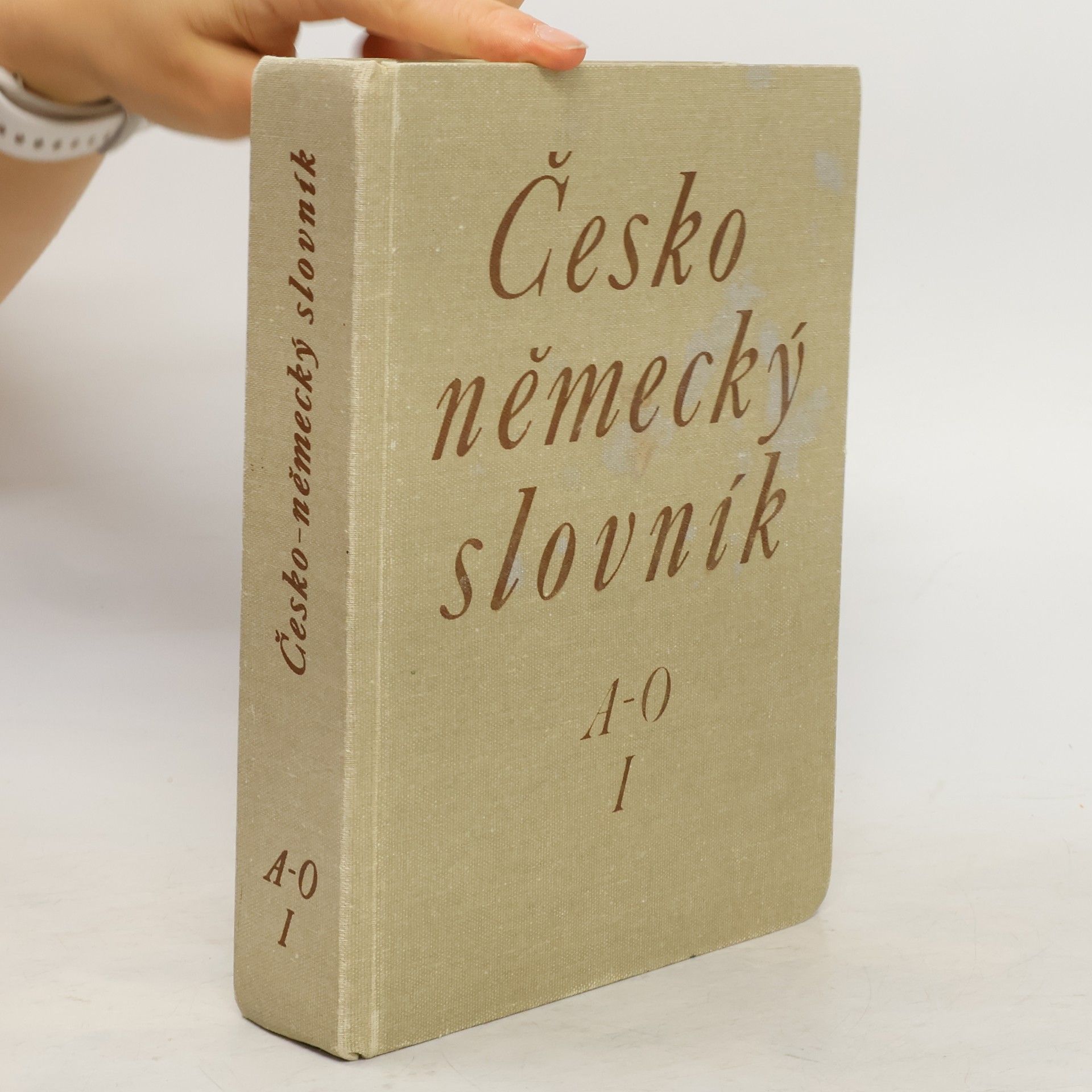 Autorenkollektiv Česko-německý slovník 1. díl A-O