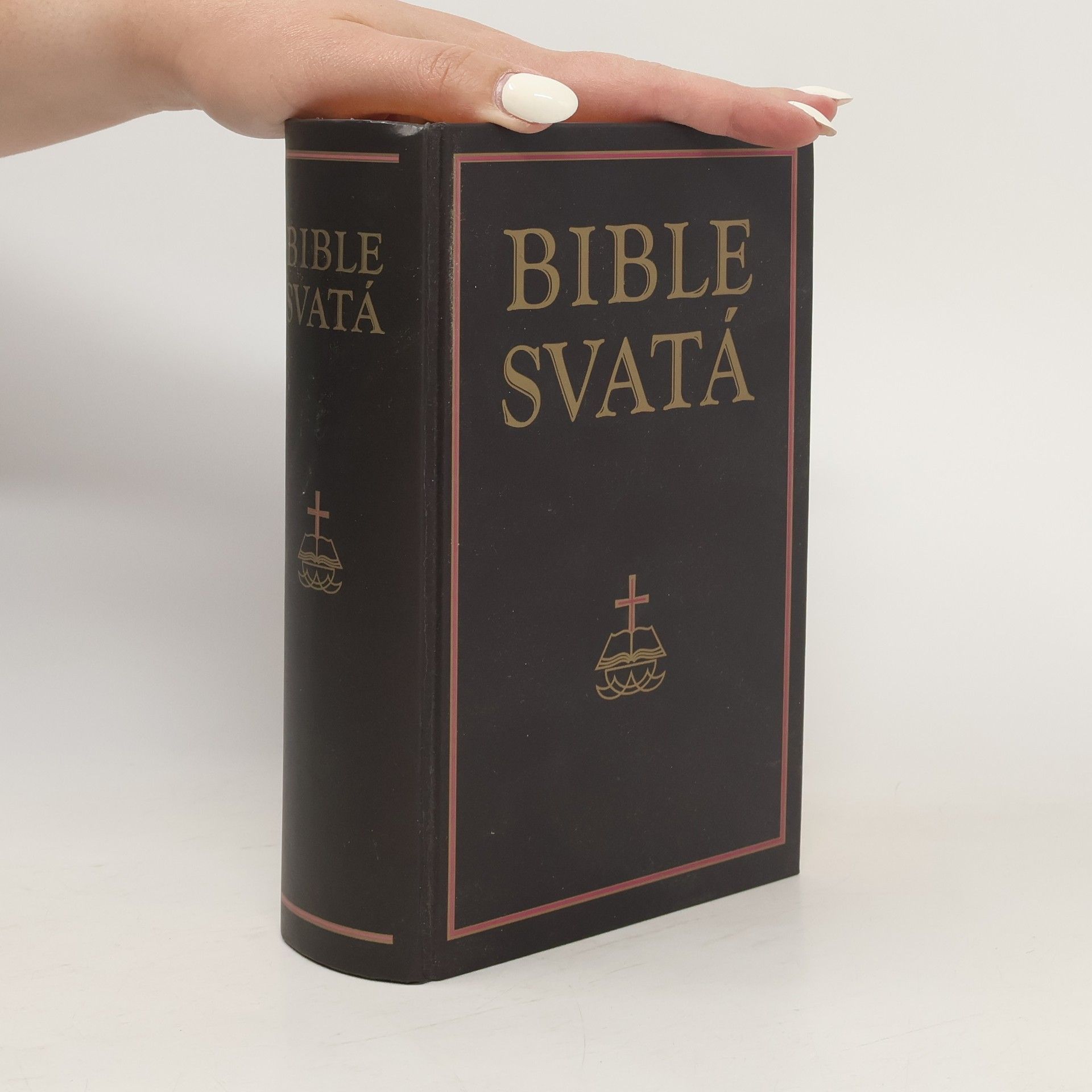 Autorenkollektiv Bible svatá aneb všecka svatá písma Starého i Nového zákona
