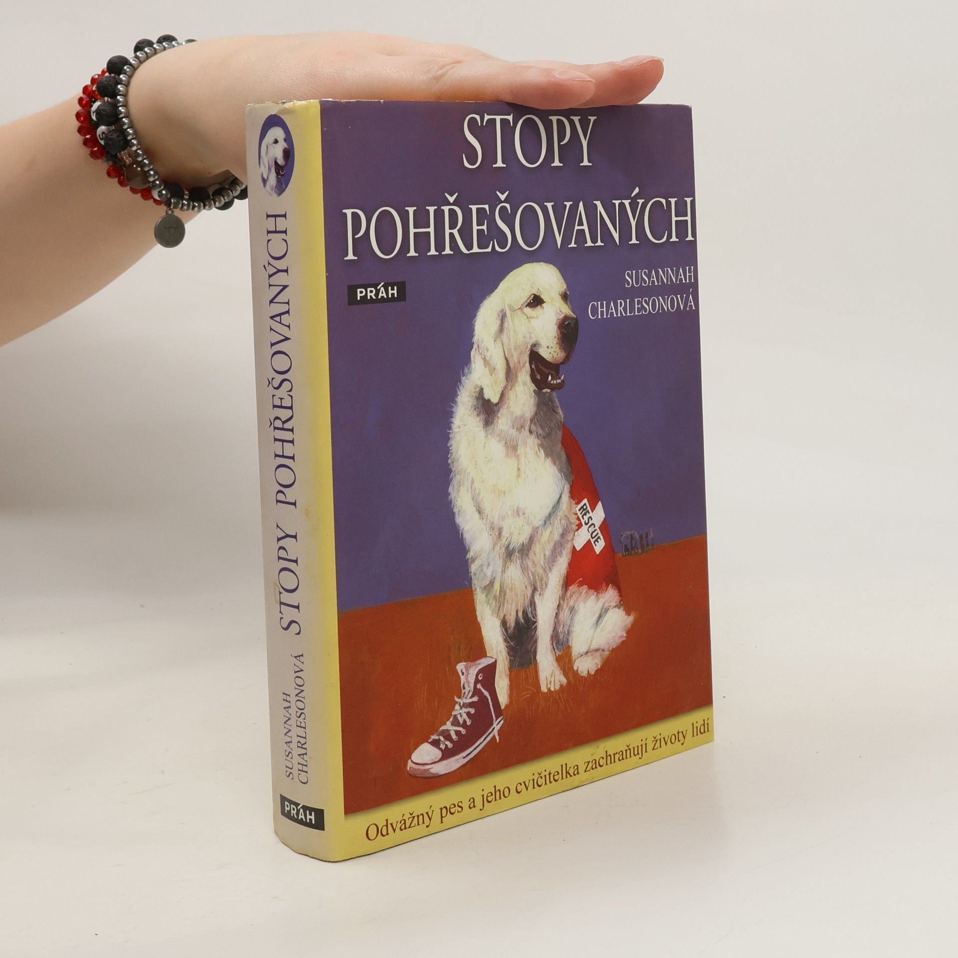 Susannah Charleson Stopy pohřešovaných